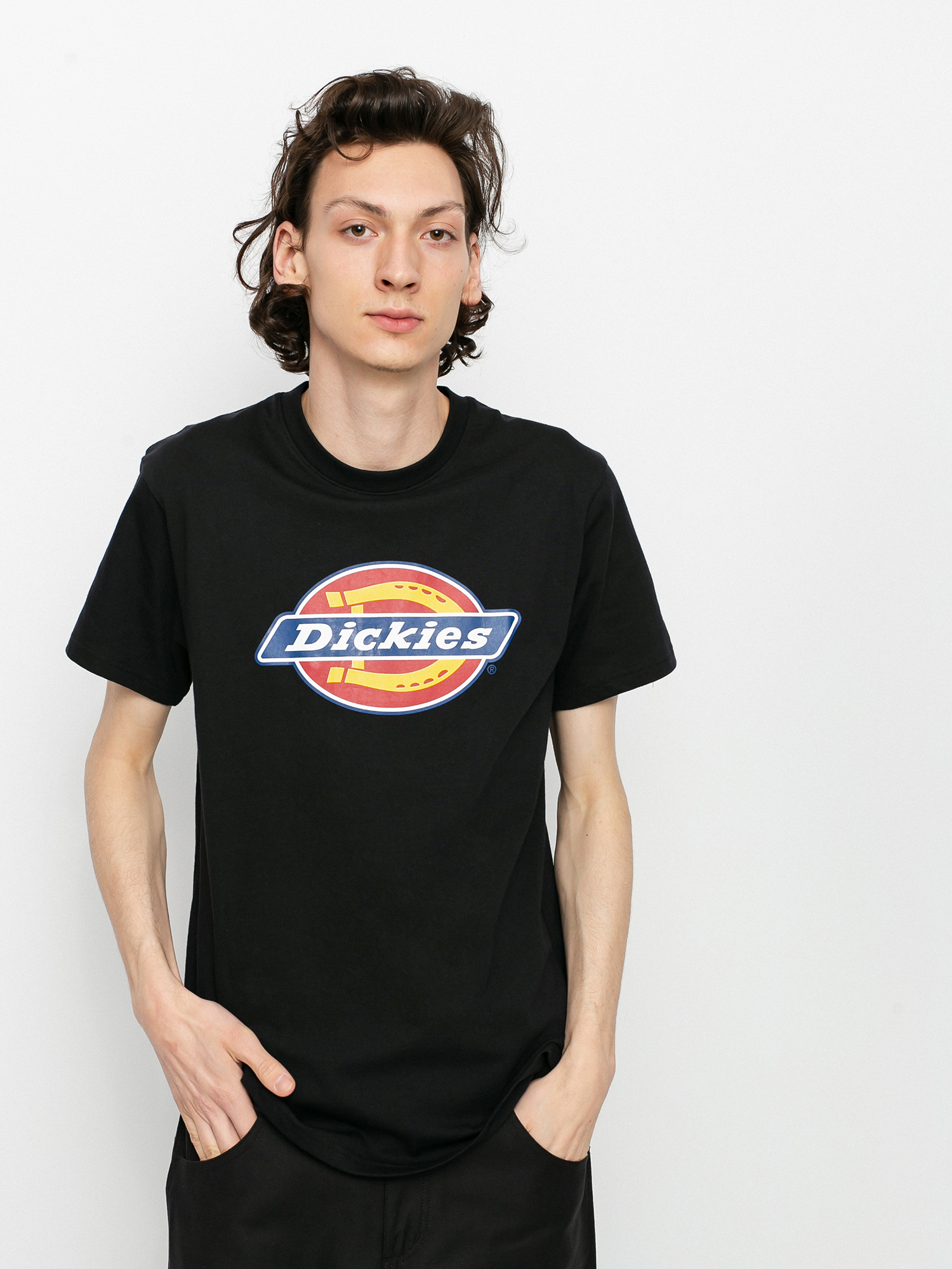 u0422u0435u043du0438u0441u043au0430 Dickies Icon Logo (black)