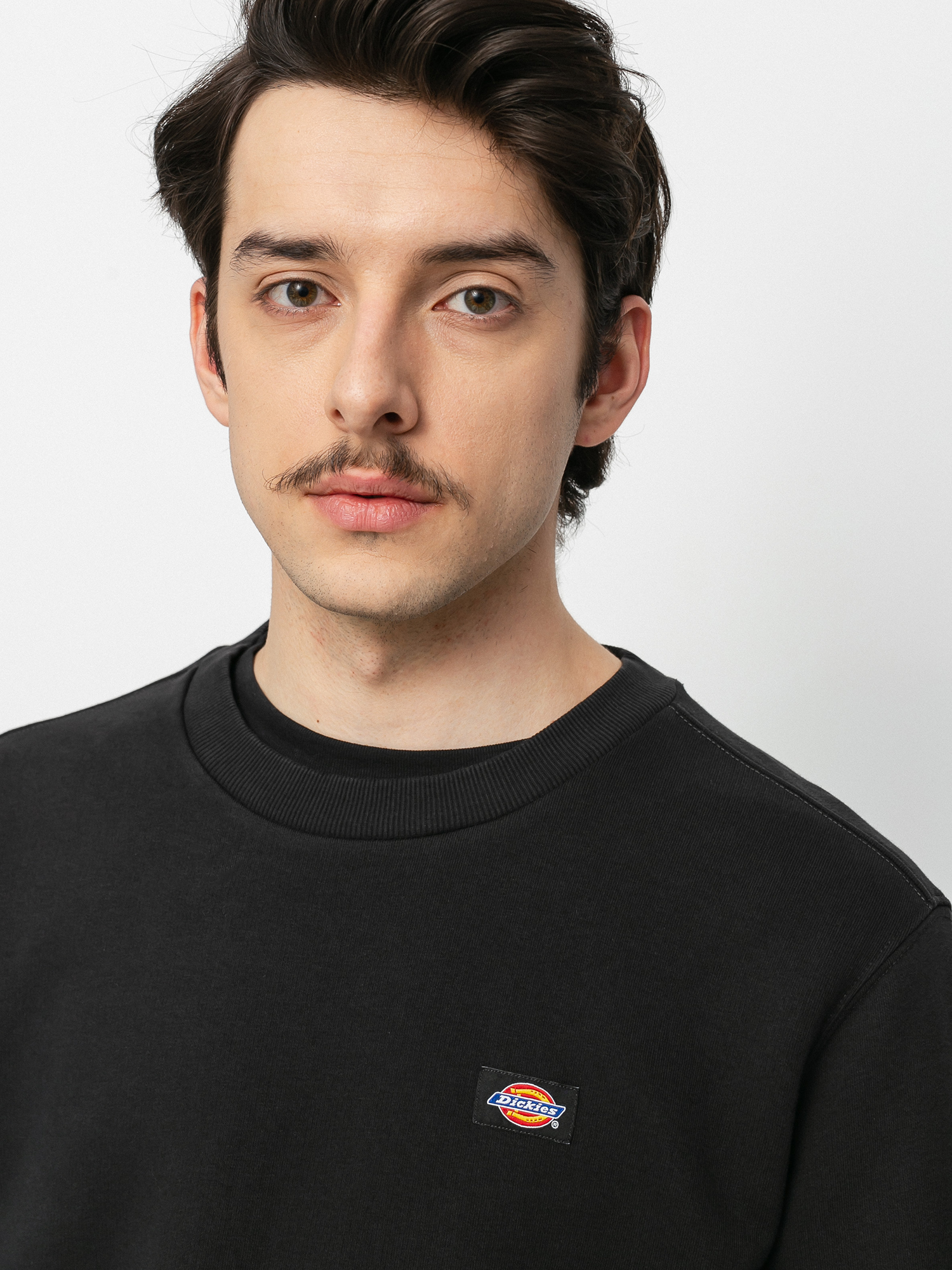 Суитшърт Dickies Oakport (black)