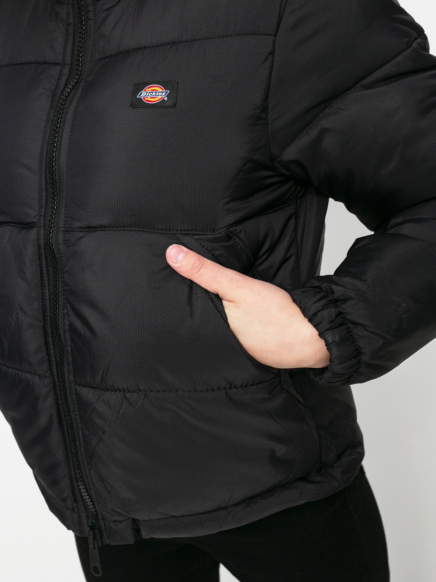 Dickies Яке Alatna Wmn (black)