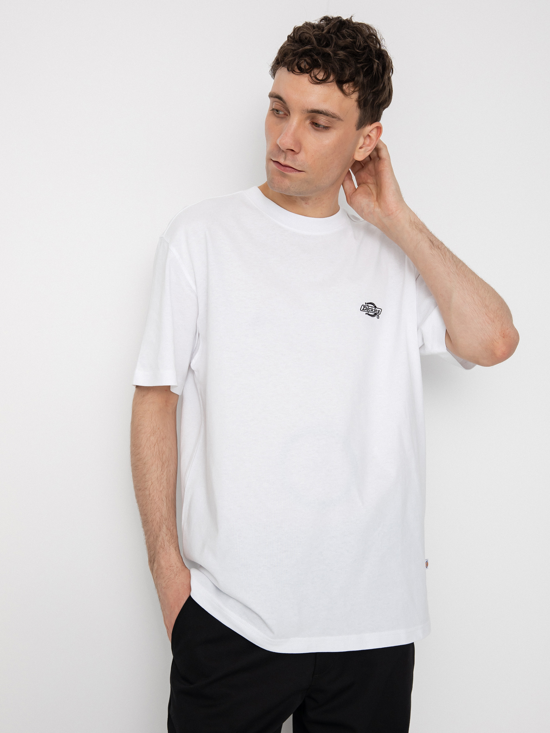 Dickies Тениска Summerdale (white)