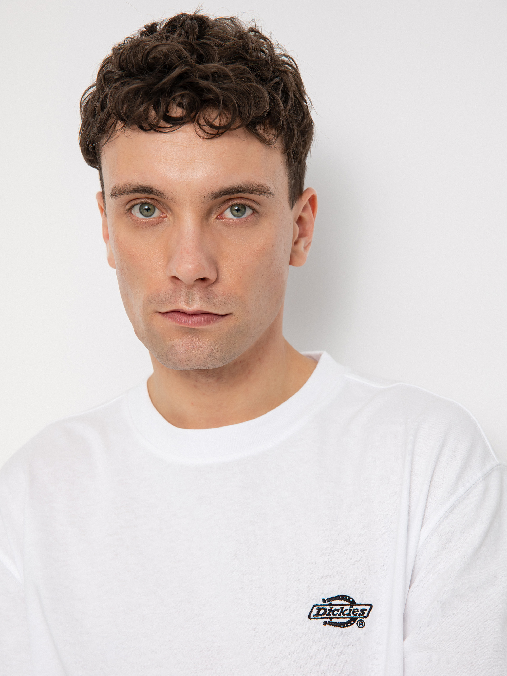 Dickies Тениска Summerdale (white)
