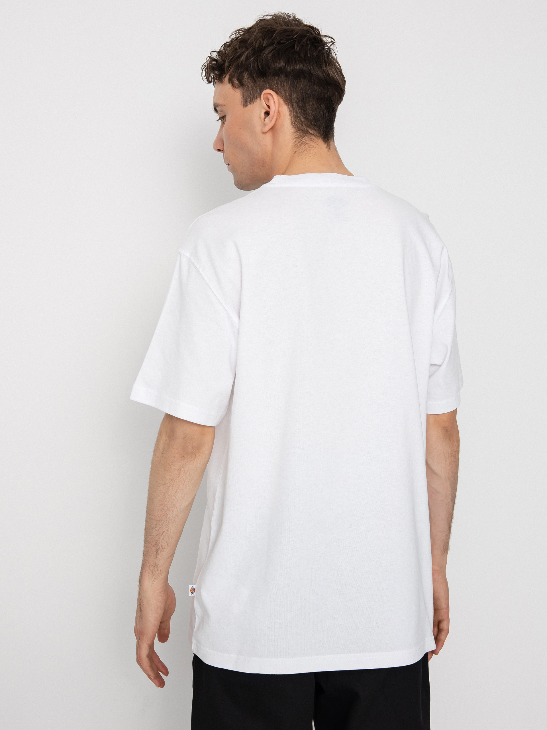 Dickies Тениска Summerdale (white)