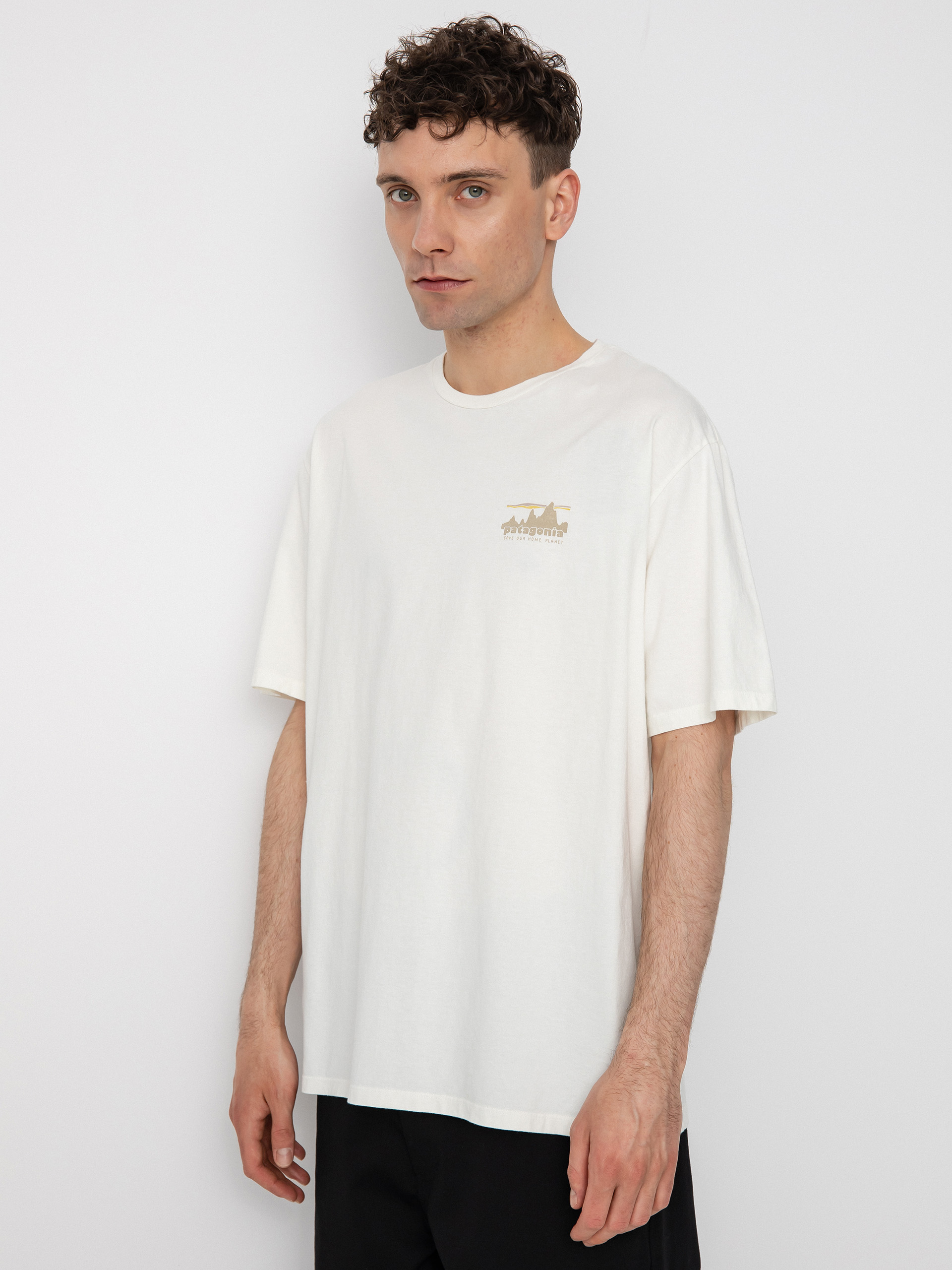 Patagonia Тениска 73 Skyline Organic (birch white)