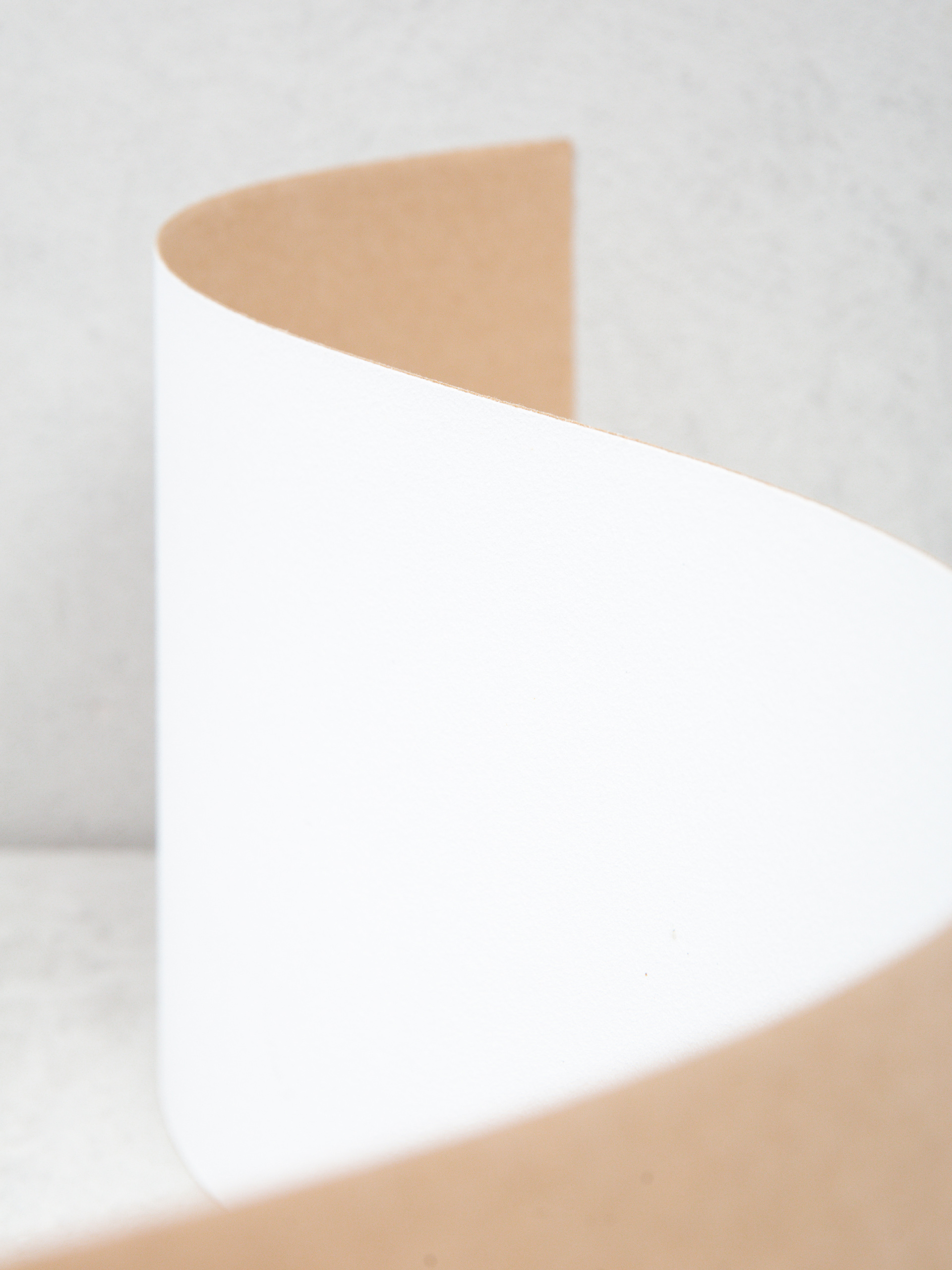 Шкурка FKD Color (white)