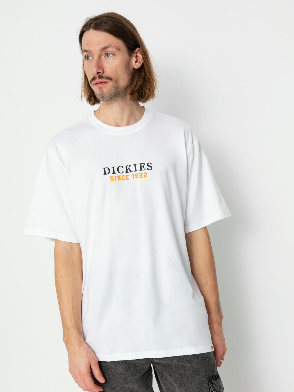 Тениска Dickies Park (white/pale green)