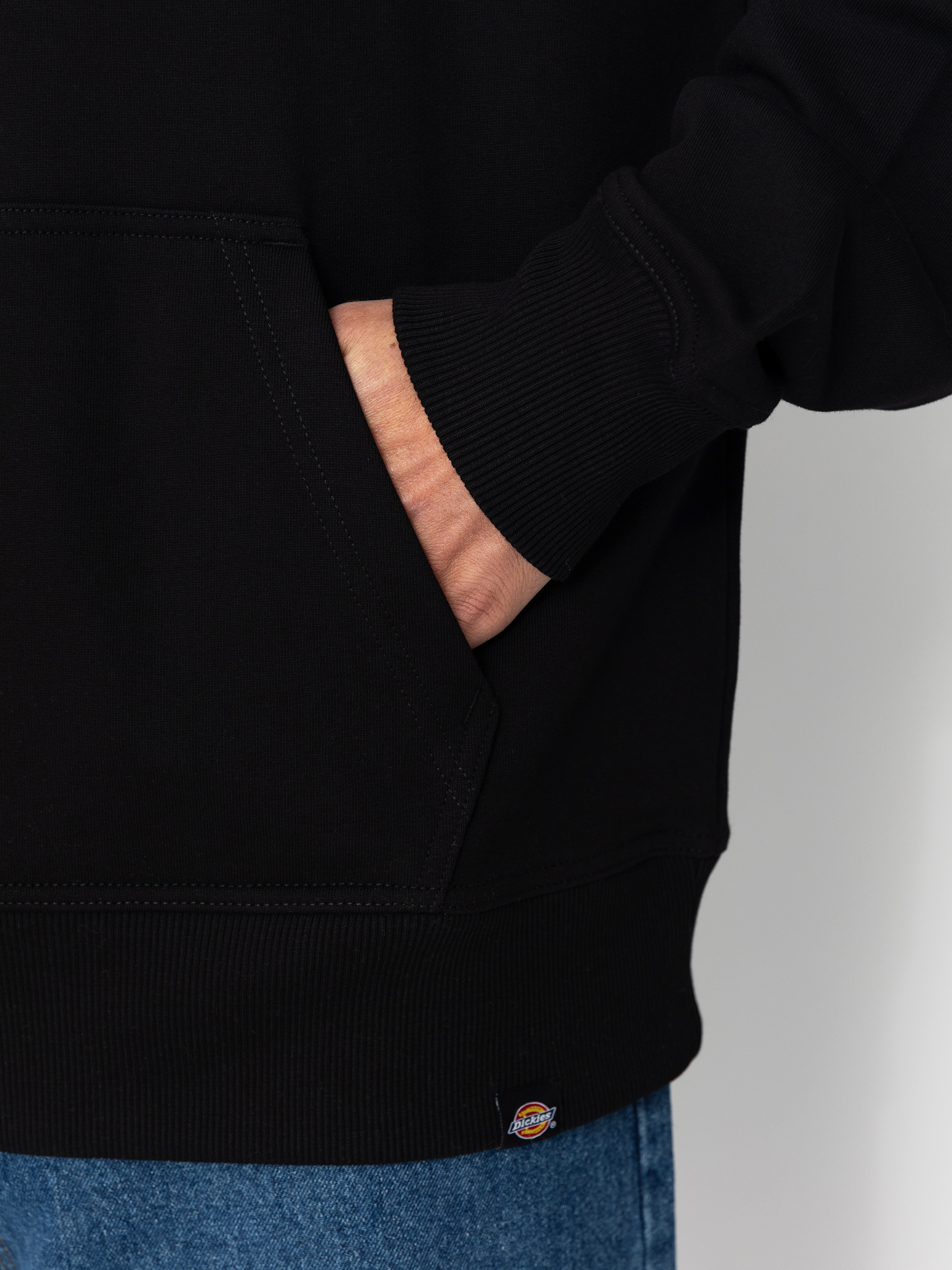 Суитшърт с качулка Dickies Globe HD (black)
