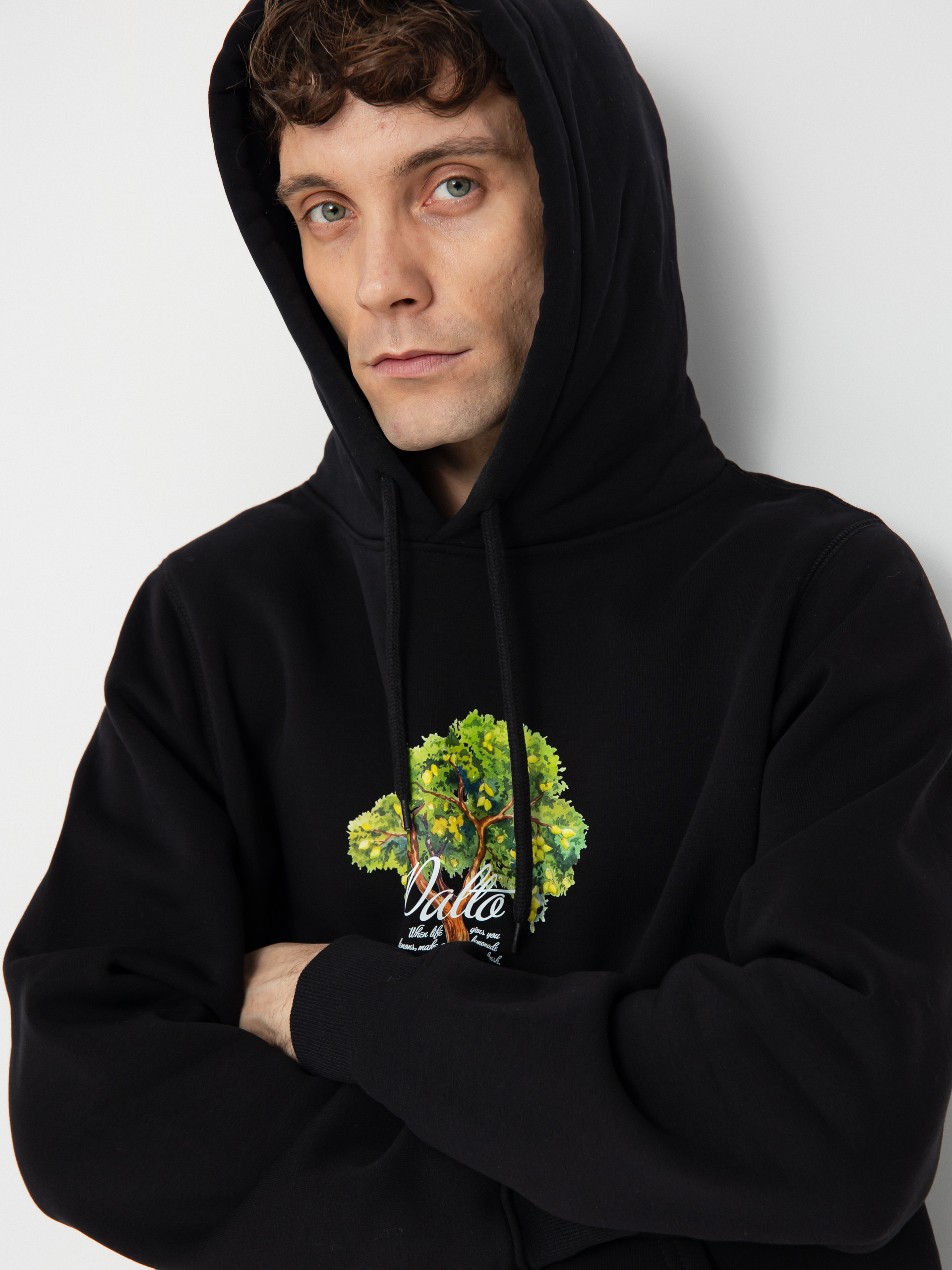 Суитшърт с качулка Palto Lemon Tree HD (black)