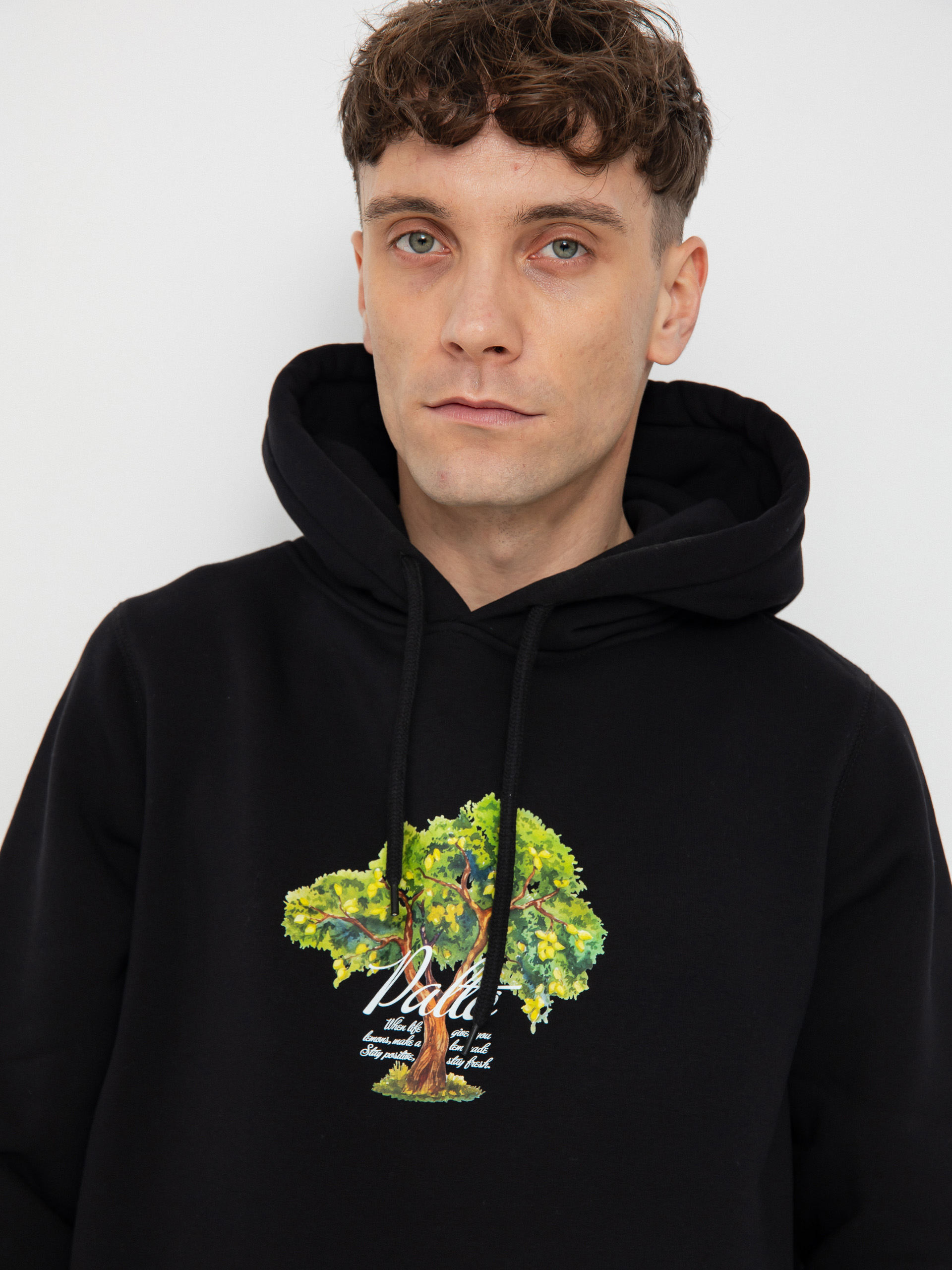 Суитшърт с качулка Palto Lemon Tree HD (black)