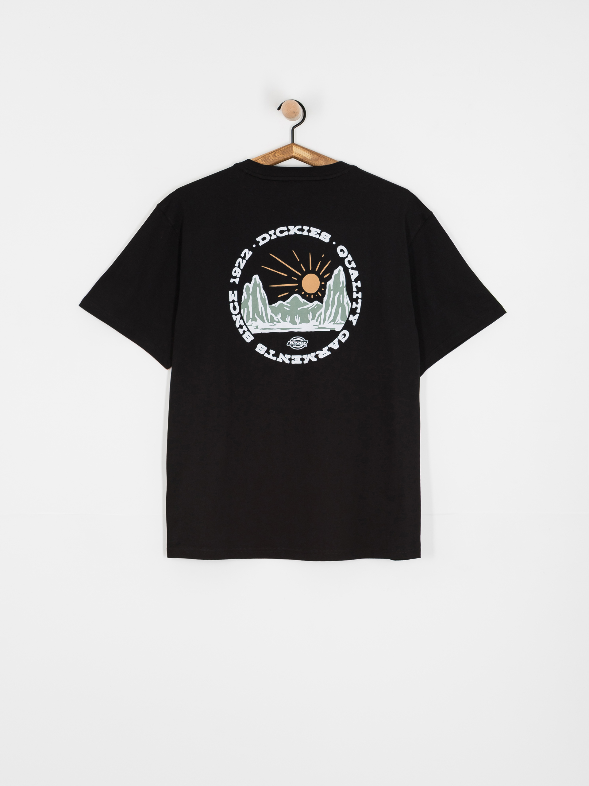 u0422u0435u043du0438u0441u043au0430 Dickies Outdoor (black)