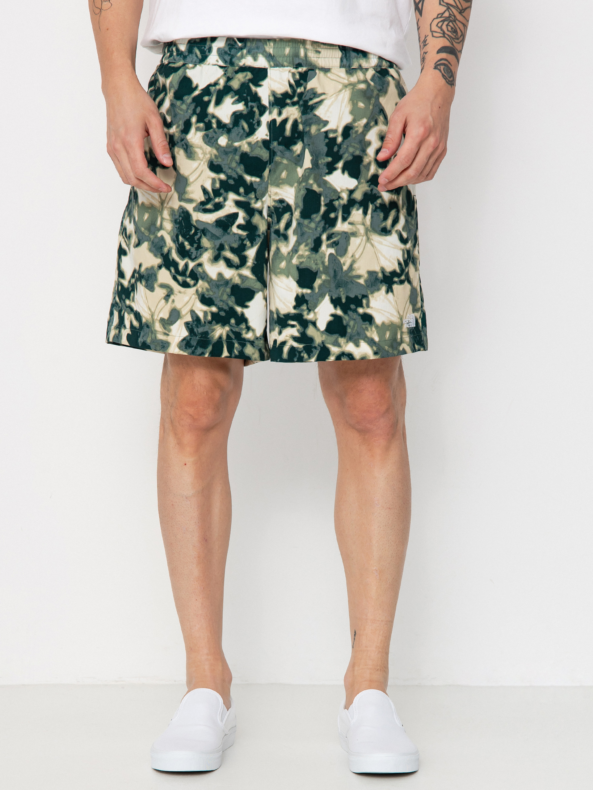 u041au044au0441u0438 u043fu0430u043du0442u0430u043bu043eu043du0438 The North Face Class V Pathfinder (duck green/lux print)