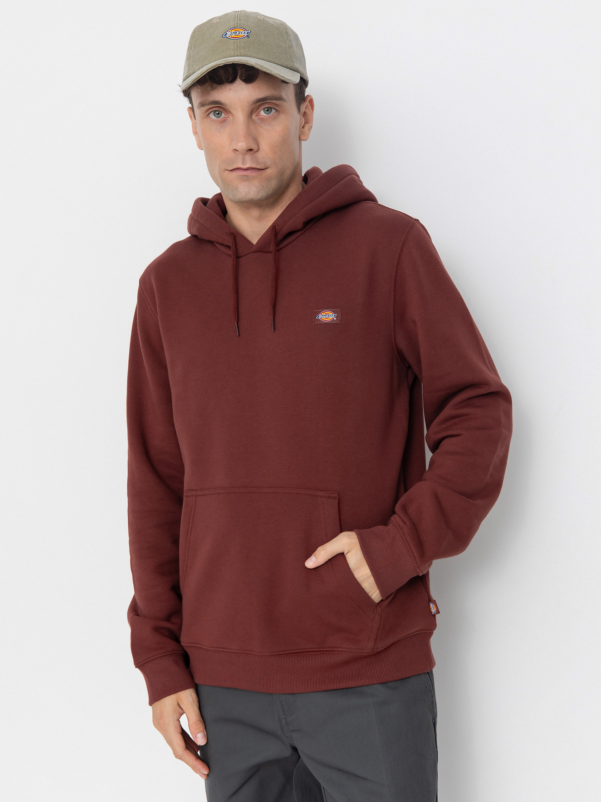 Суитшърт с качулка Dickies Oakport HD (andorra)
