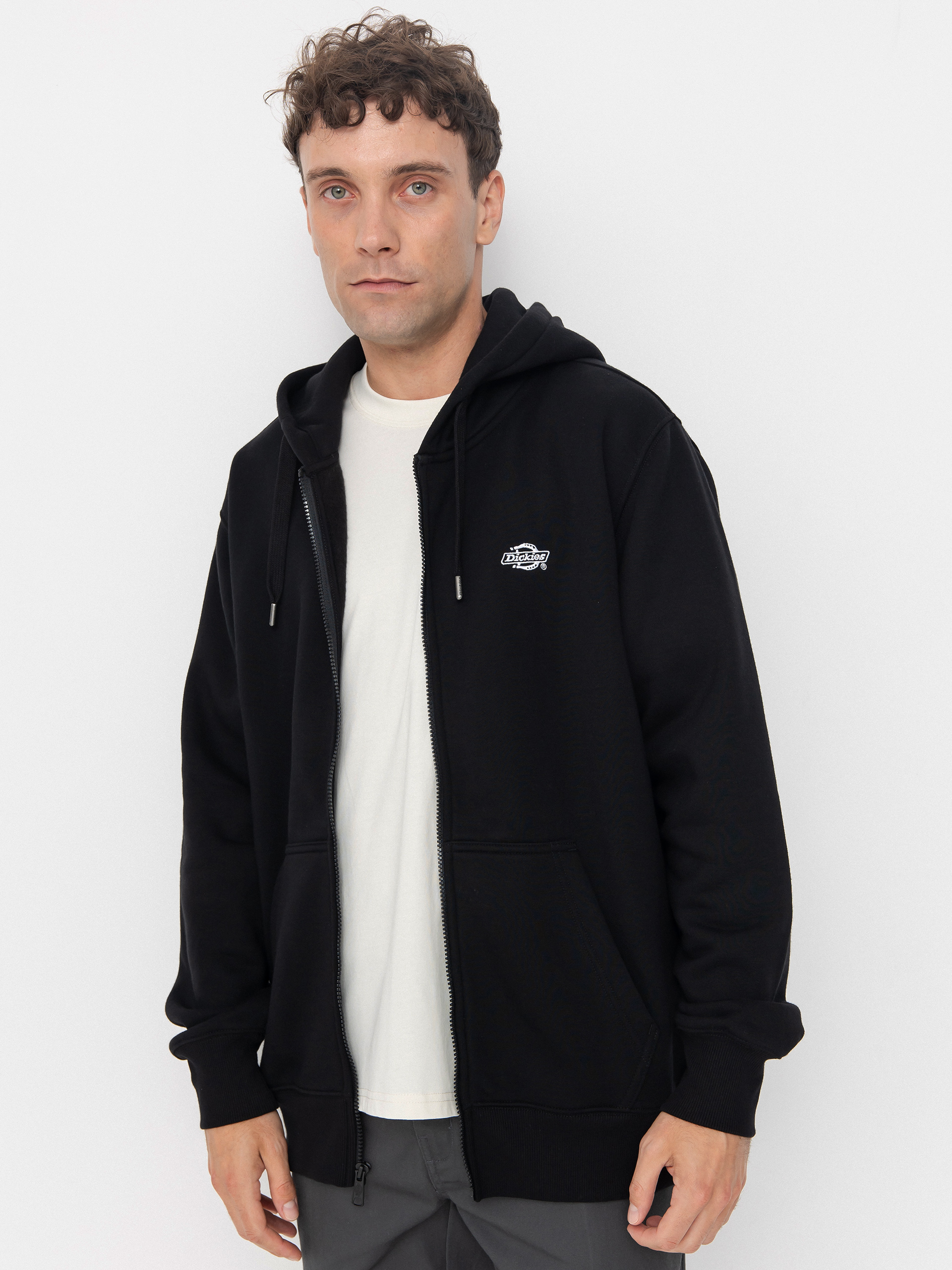 Суитшърт с качулка Dickies Summerdale ZHD (black)