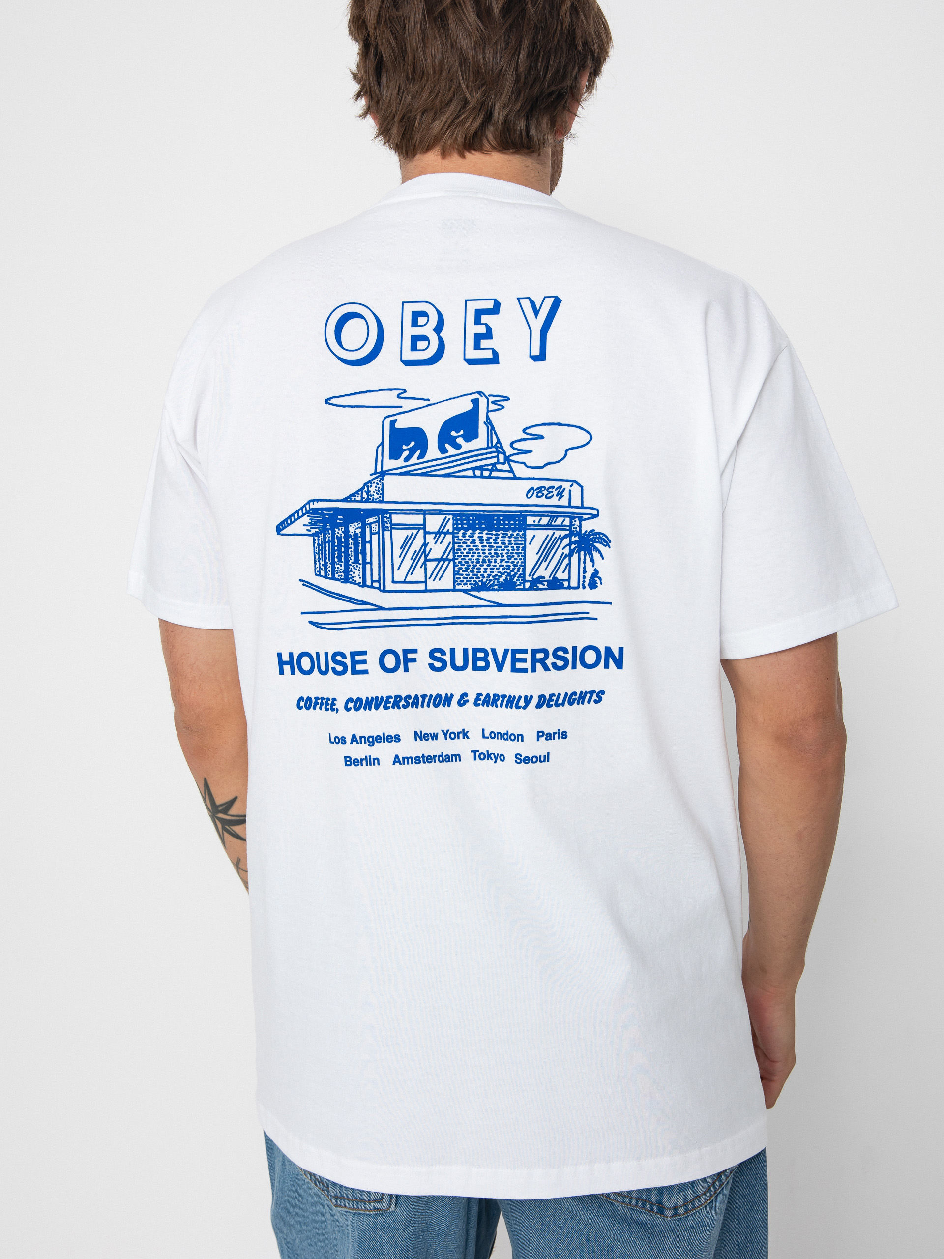 u0422u0435u043du0438u0441u043au0430 OBEY Obey House Of Subversion (white)