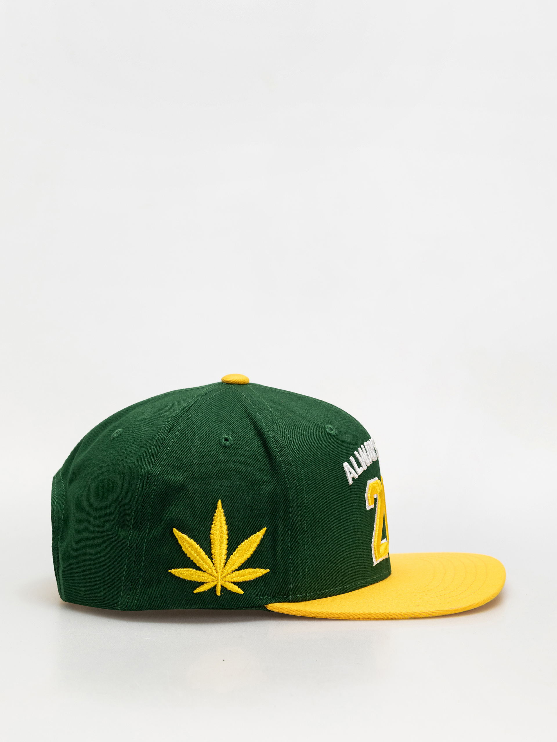 Шапка с козирка DGK Team Indica Snap (green)