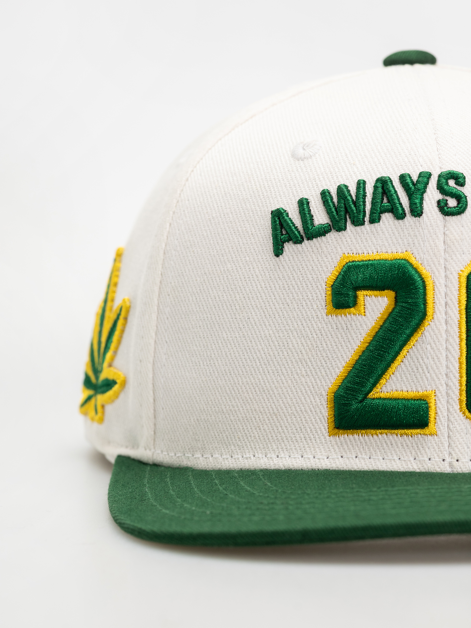 Шапка с козирка DGK Team Indica Snap (white)