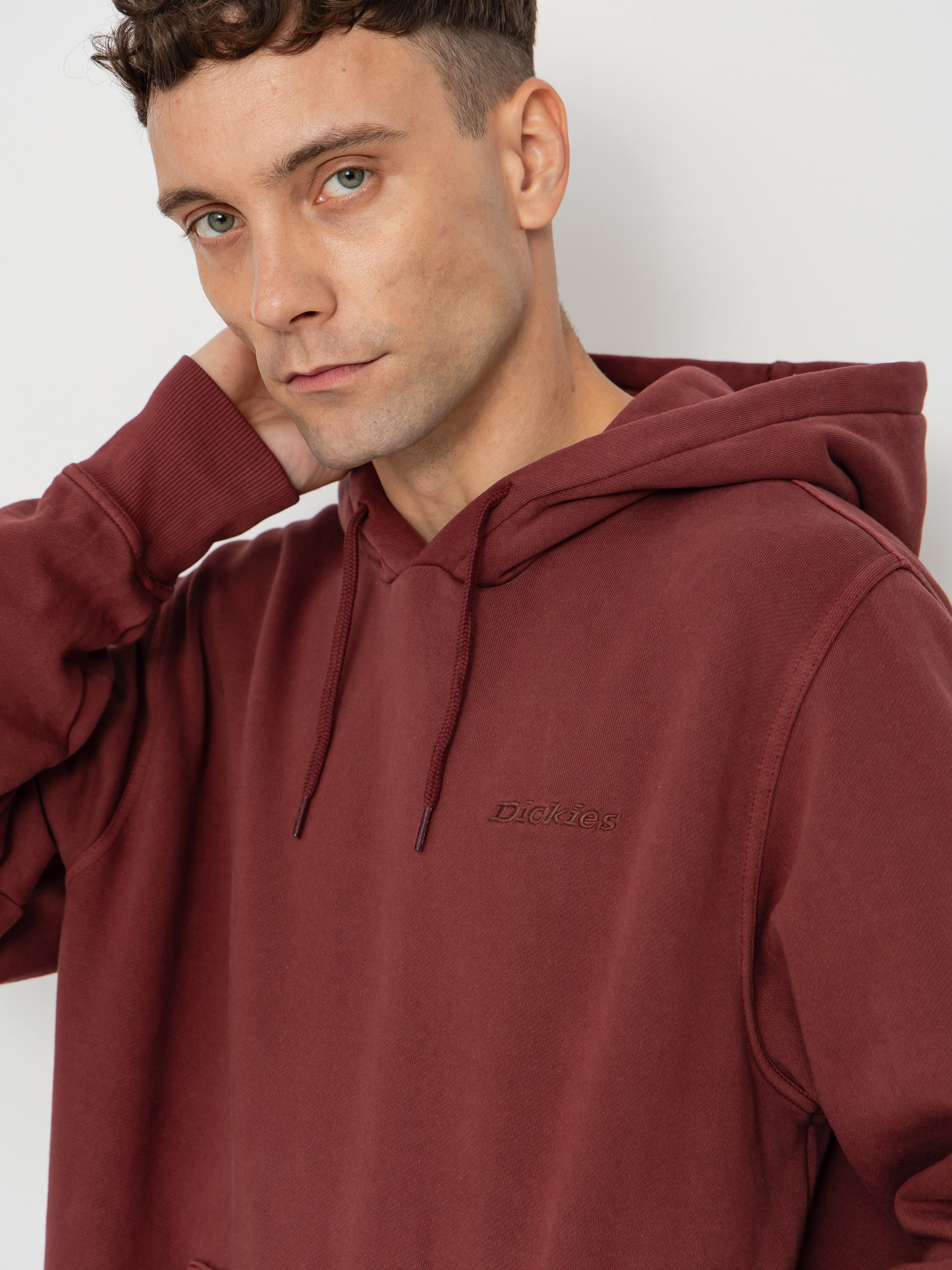 Суитшърт с качулка Dickies Plentywood HD (andorra)