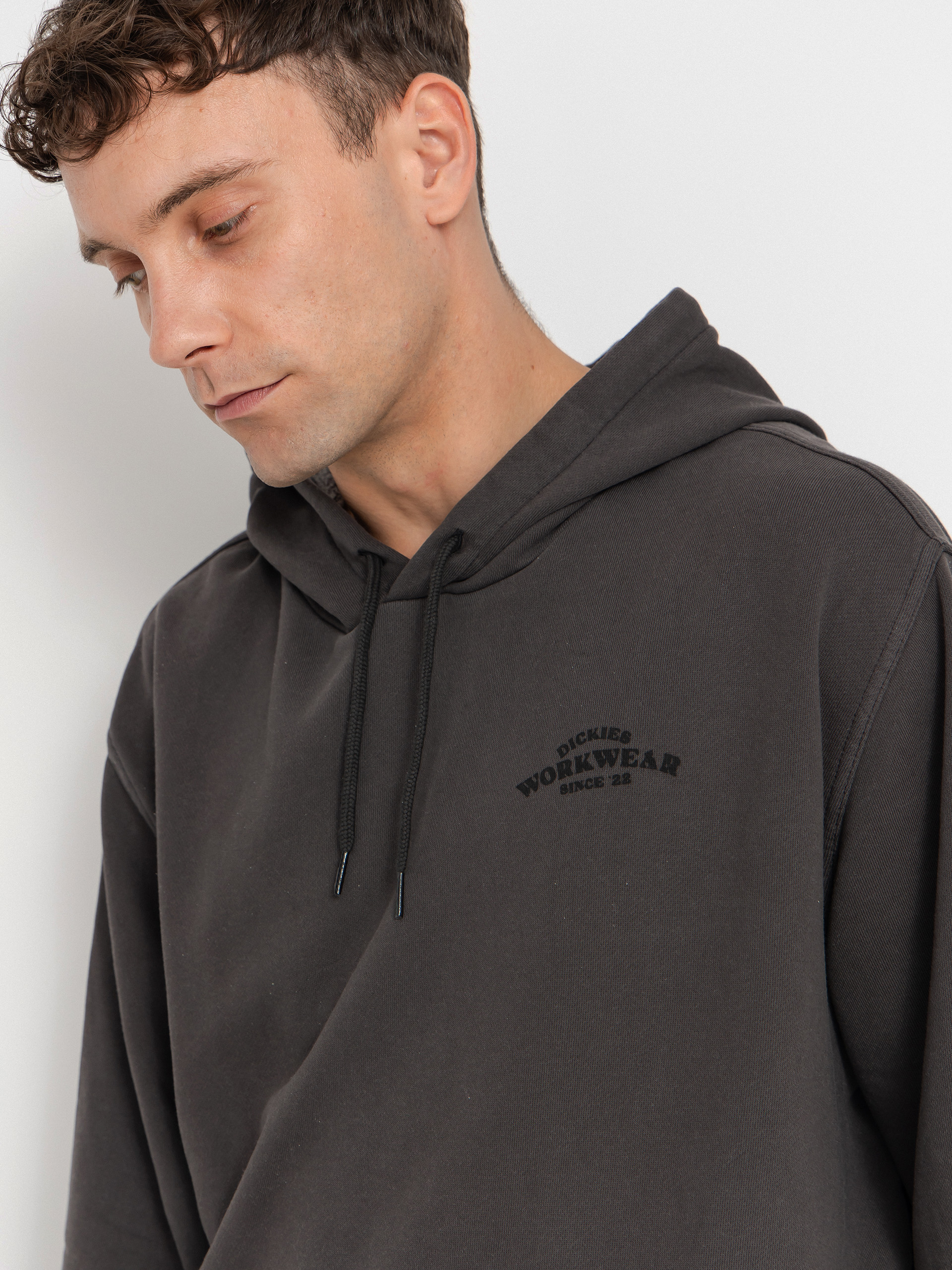 Суитшърт с качулка Dickies Christiana HD (black)