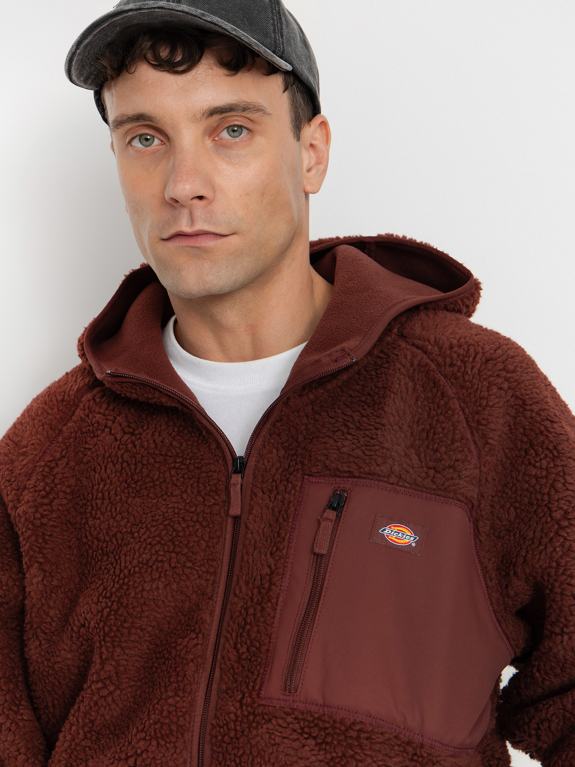Мъжки Поларени суитшърт Dickies Central High Pile (andorra)