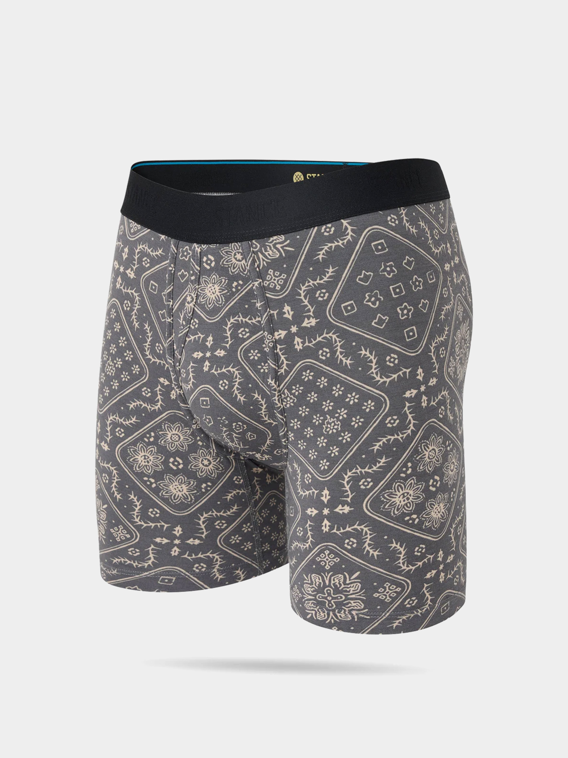 Бельо Stance It Is Paisley Wholester (string grey)