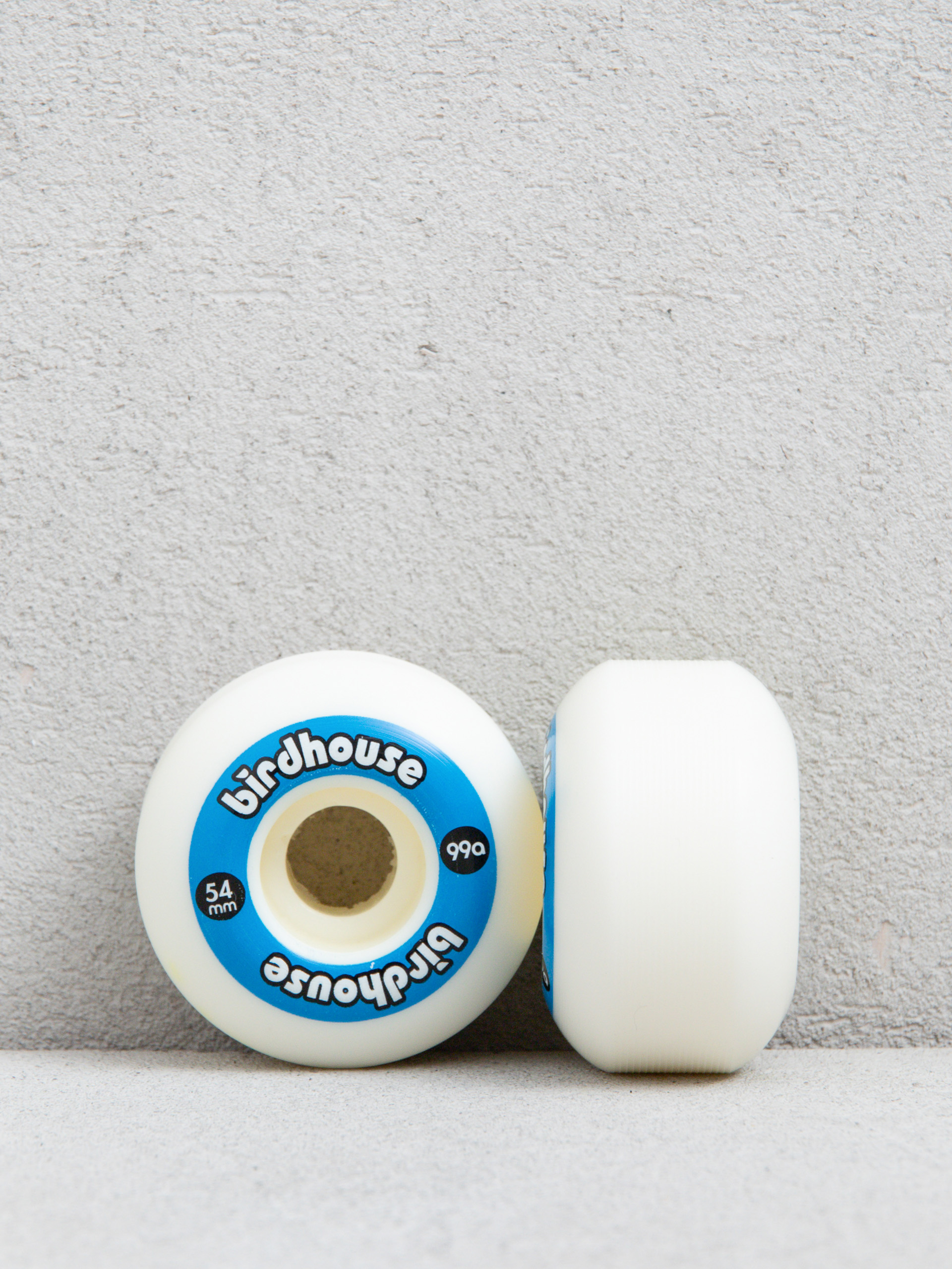 u041au043eu043bu0435u043bu0446u0430 Birdhouse Logo 99a (blue)