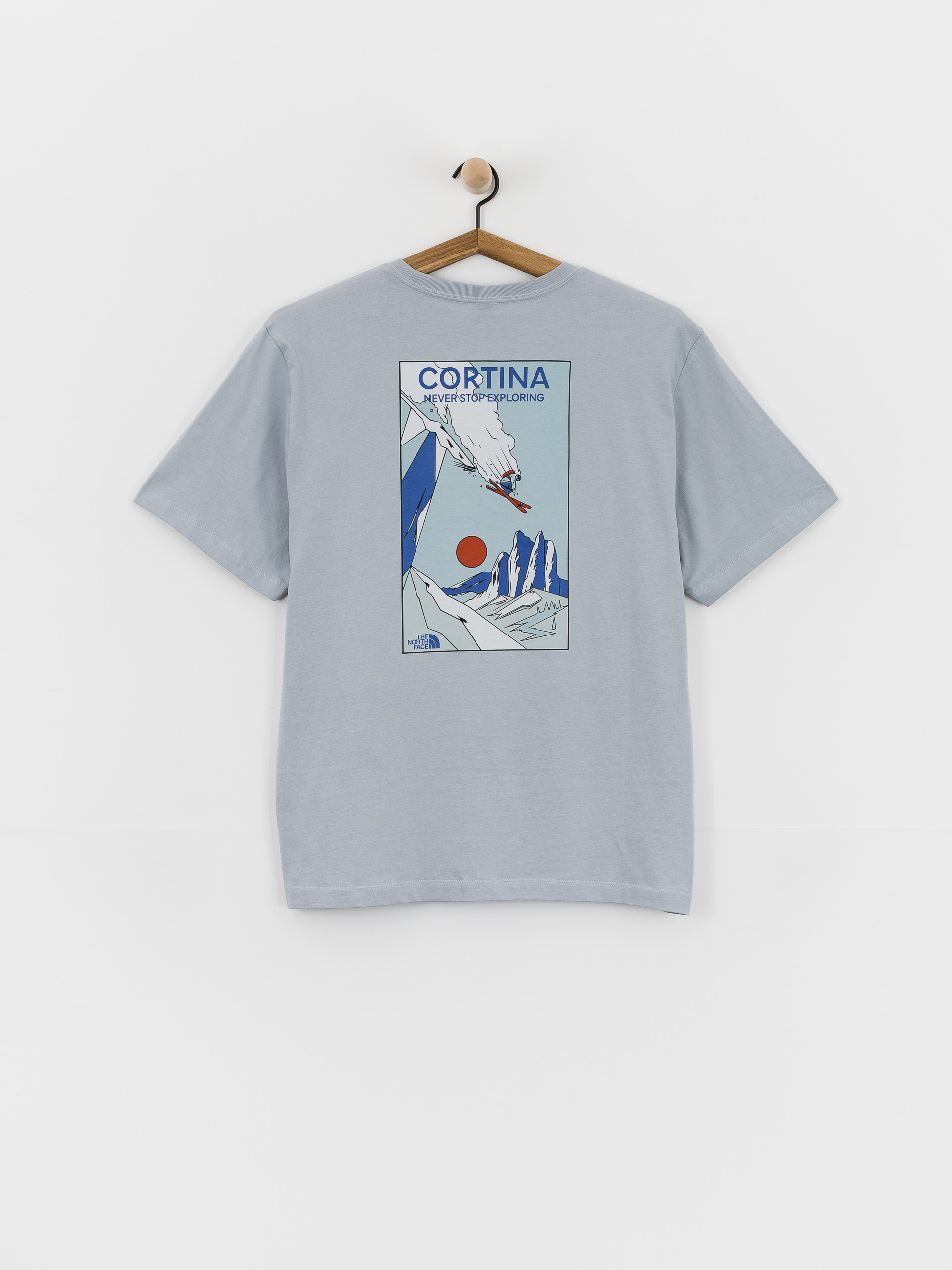 u0422u0435u043du0438u0441u043au0430 The North Face Mountain Celebration (frost grey)