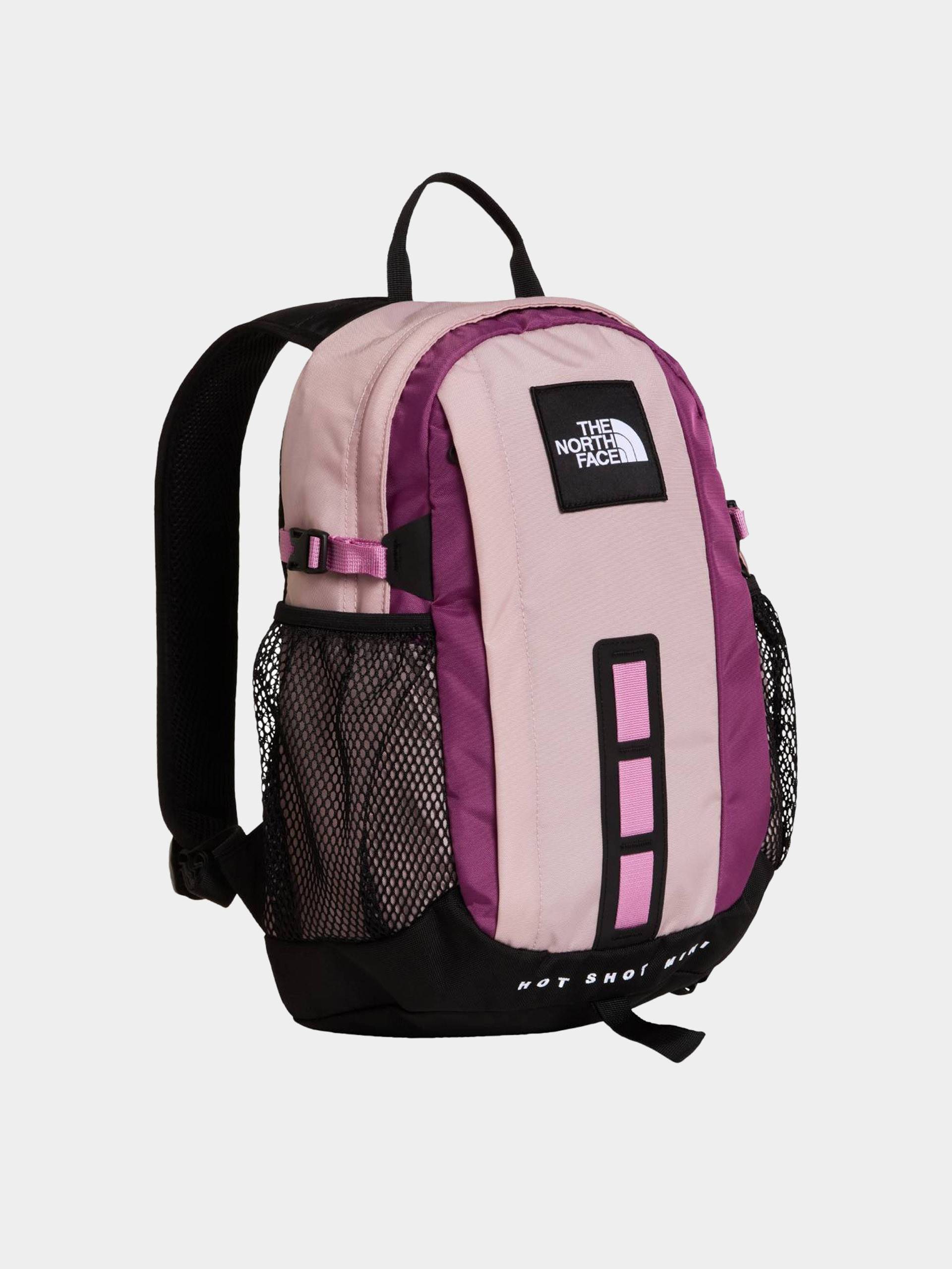 u0420u0430u043du0438u0446u0430 The North Face Hot Shot Mini (metal pink/ston)
