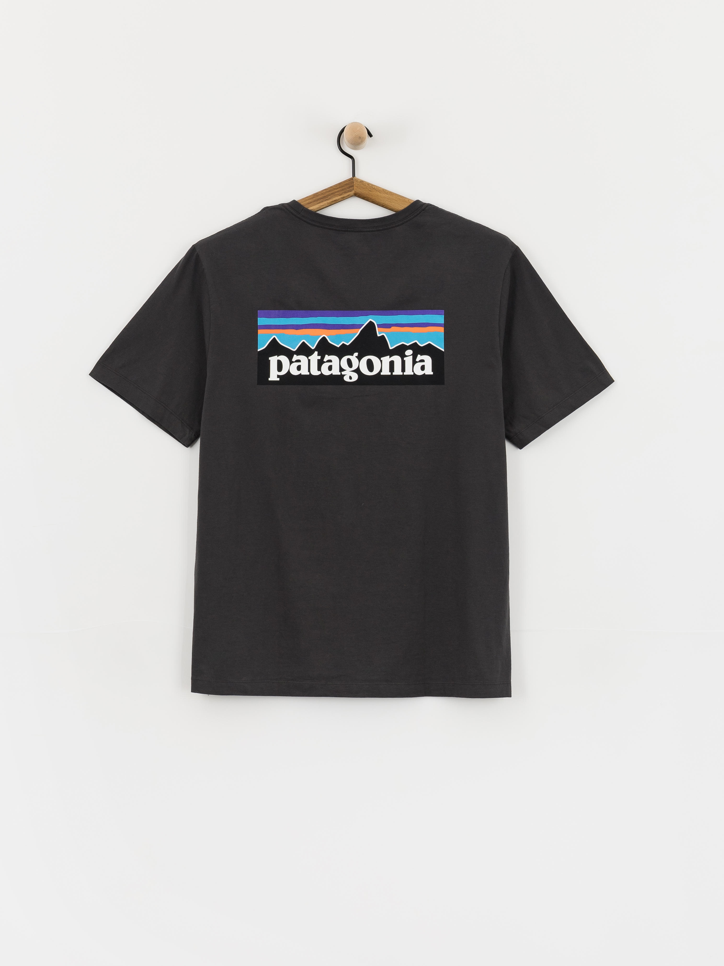 u0422u0435u043du0438u0441u043au0430 Patagonia P 6 Logo (ink black)