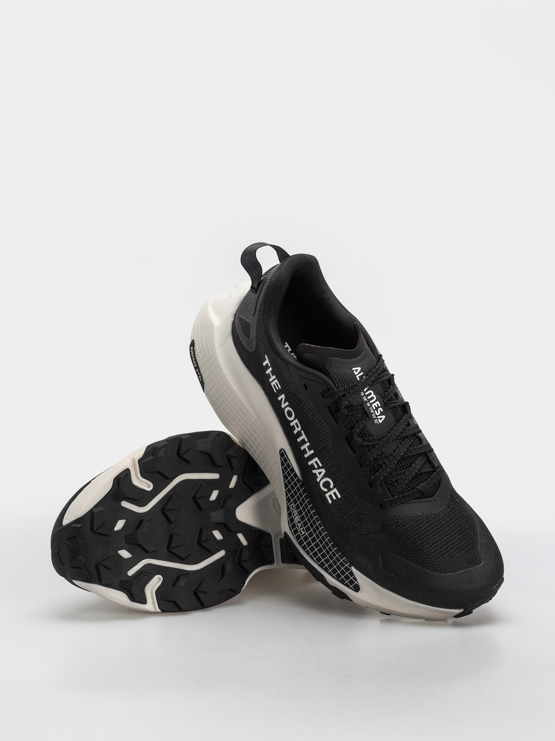 Обувки The North Face Altamesa 500 V2 (tnf black/white)