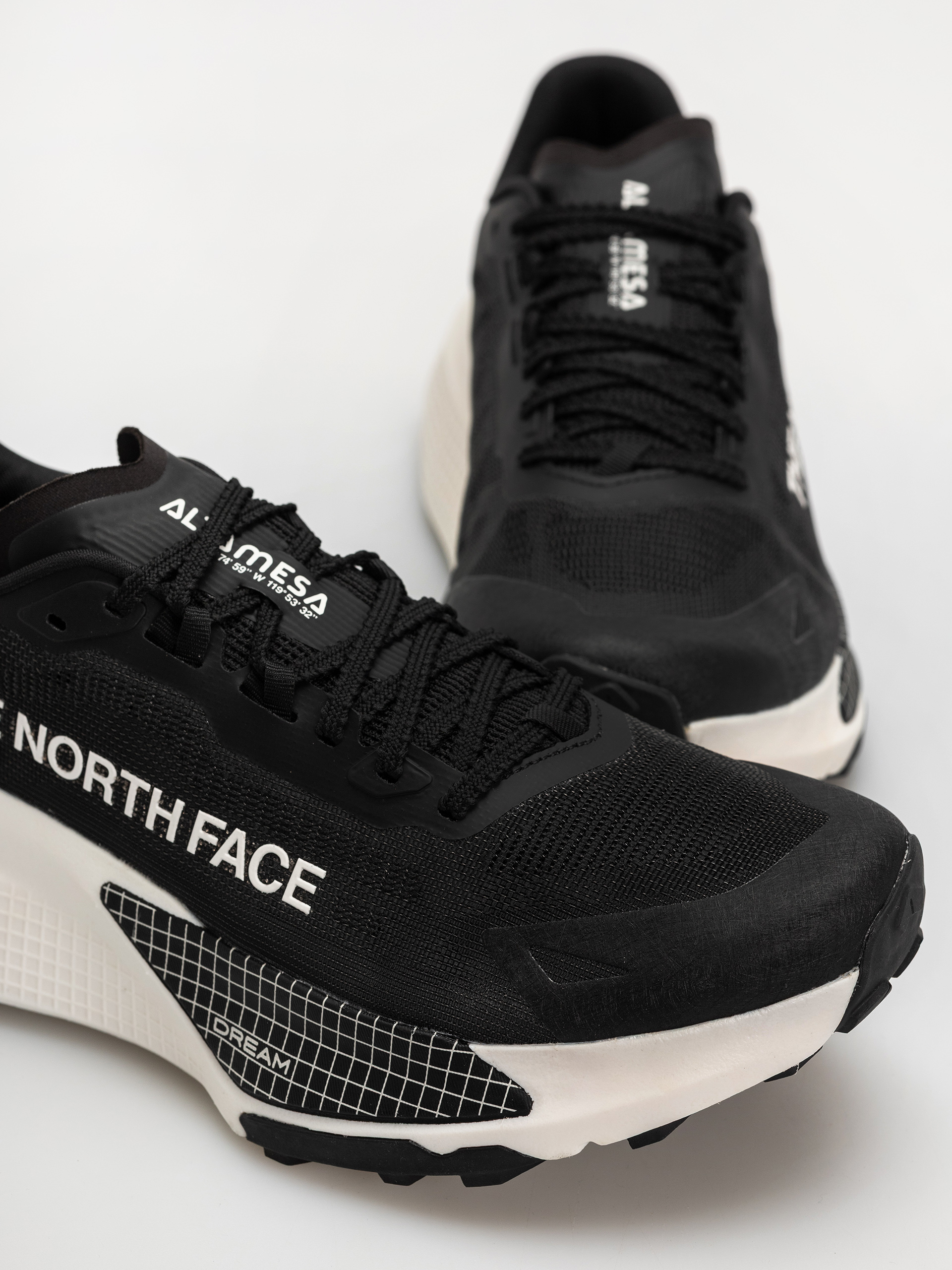 Обувки The North Face Altamesa 500 V2 (tnf black/white)