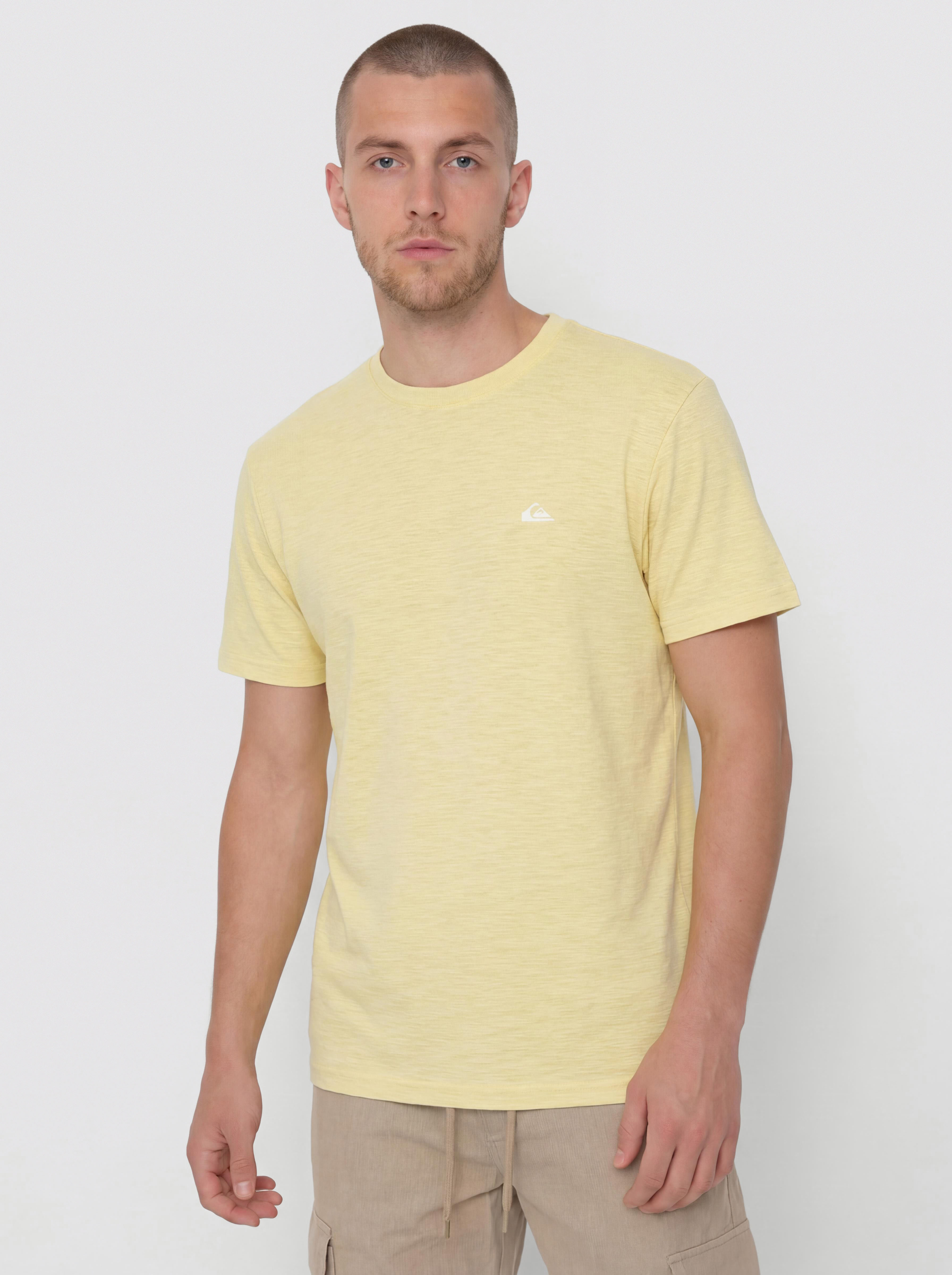 u0422u0435u043du0438u0441u043au0430 Quiksilver Slub Roundneck (garden glade)