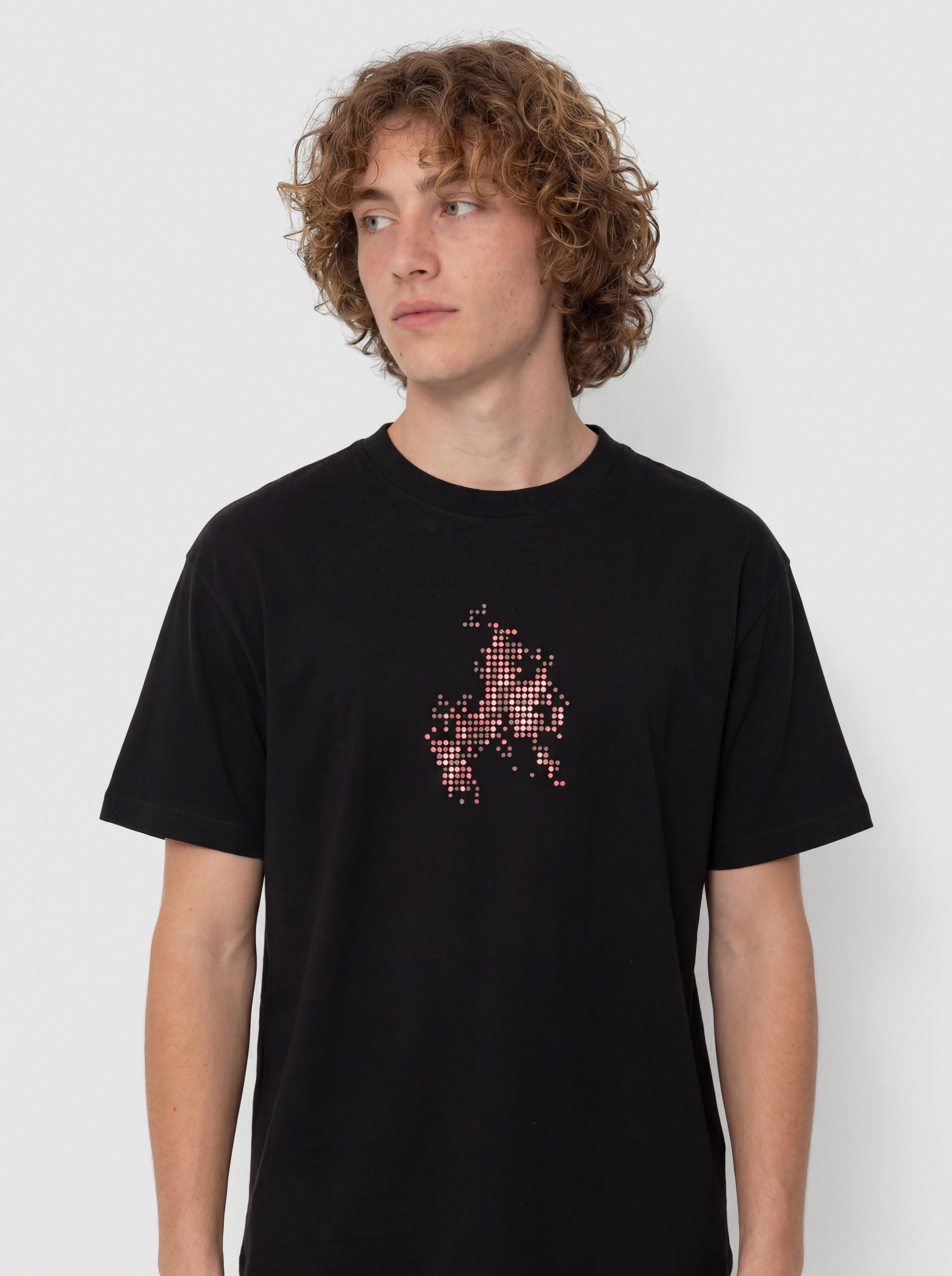 Тениска Vans Skate Flame (black)