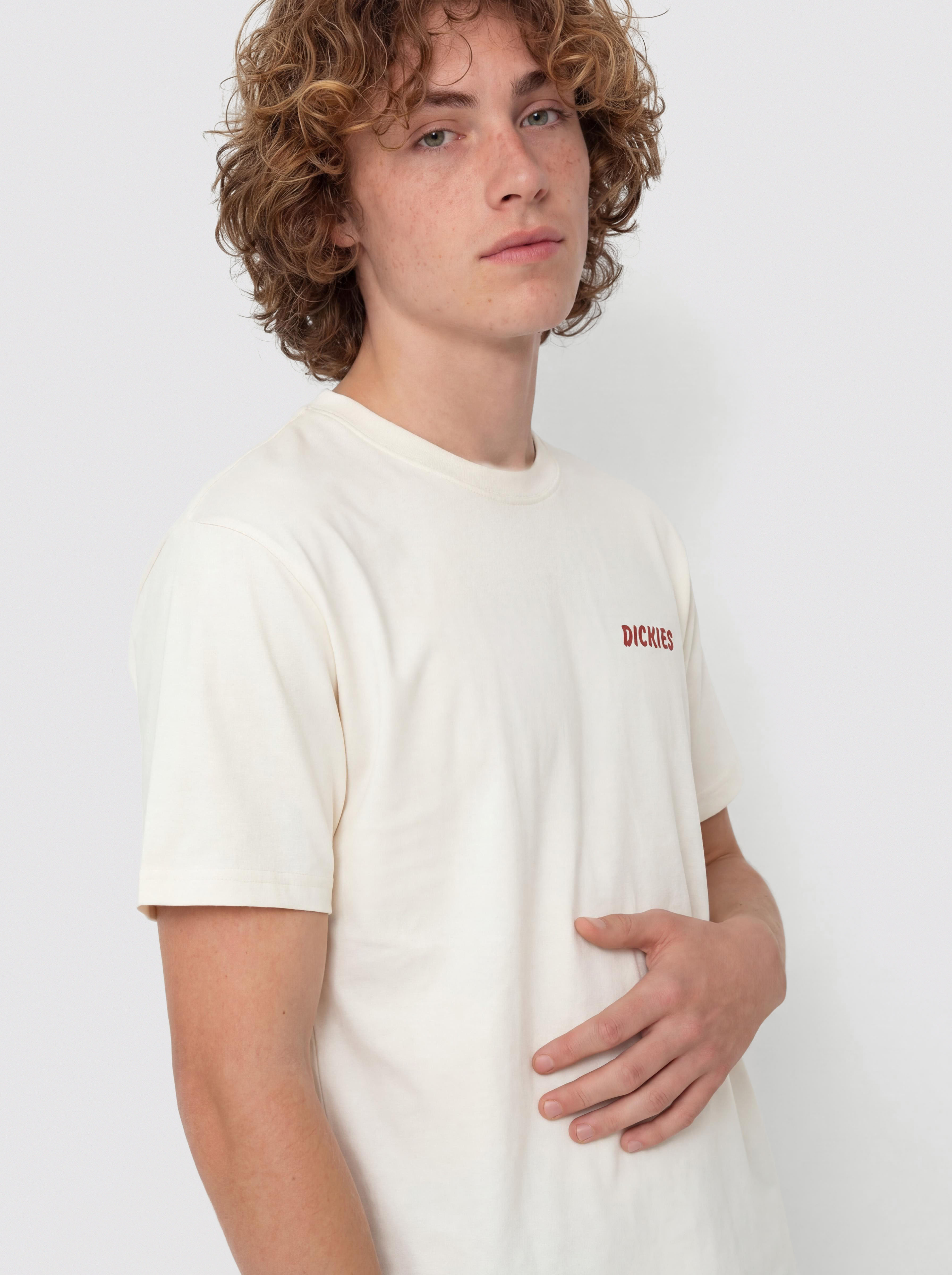 Тениска Dickies Dry Ridge (egret)