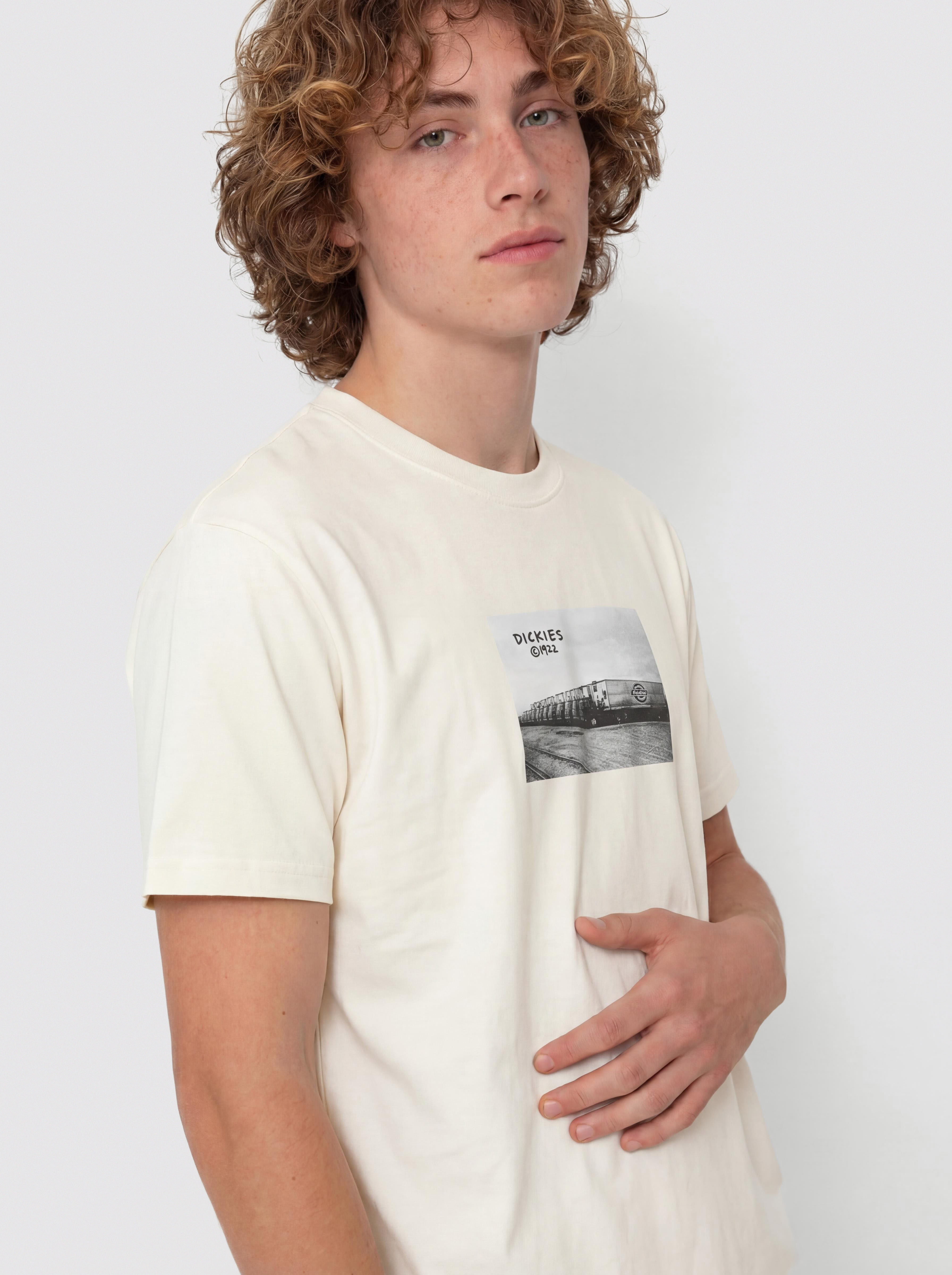 Блуза Dickies Sevier