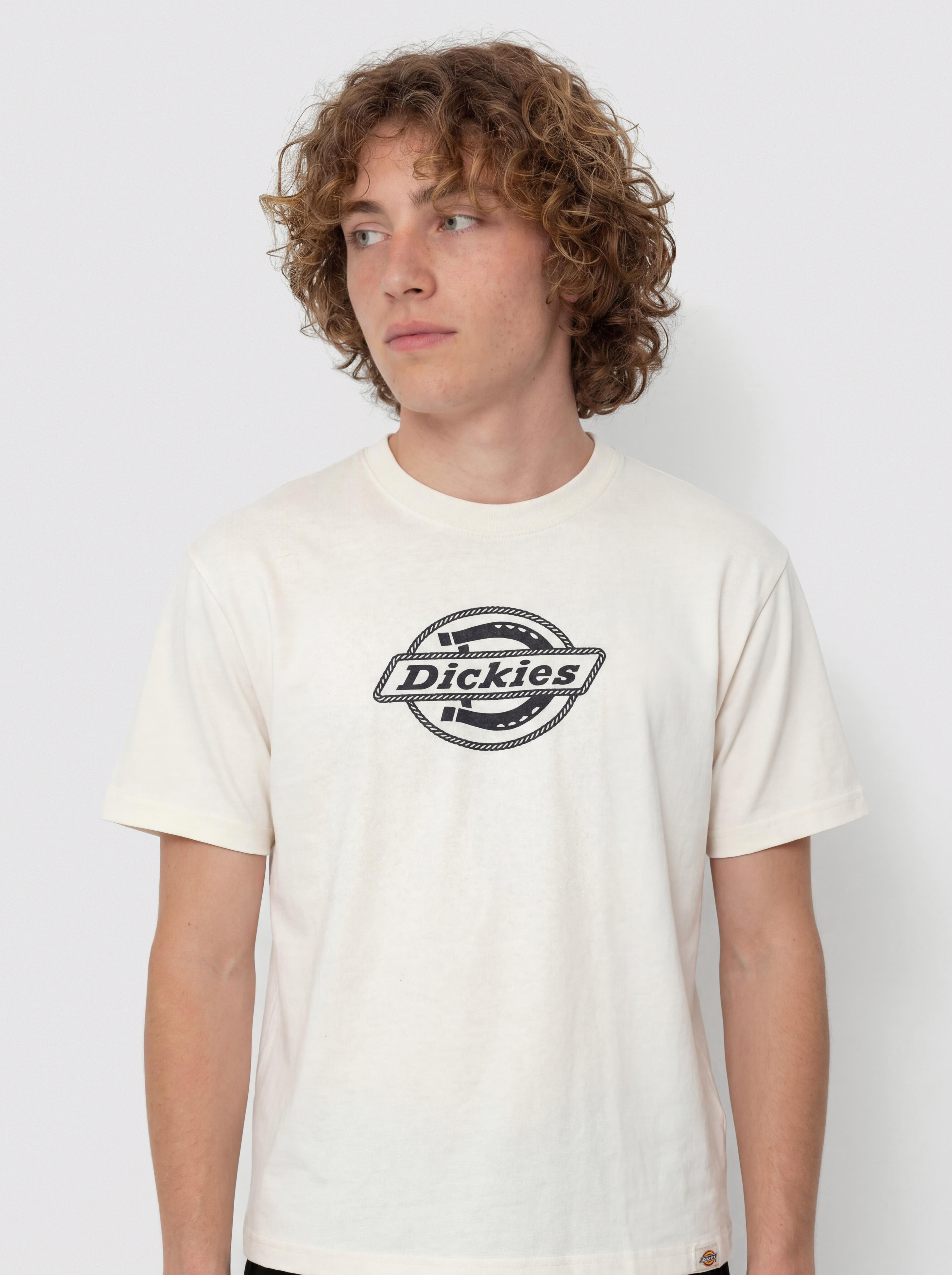 Тениска Dickies Forth Shaw (egret)
