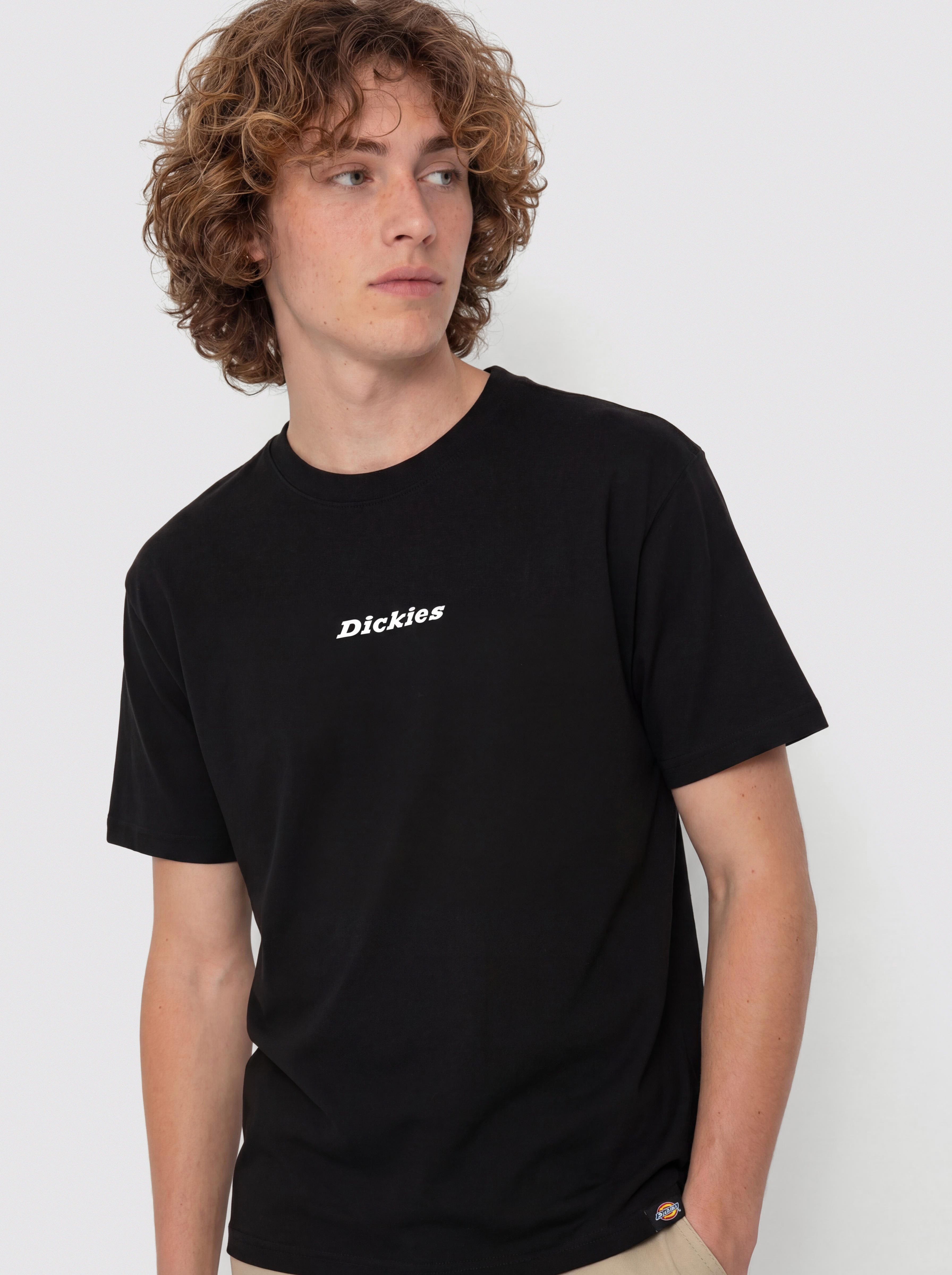 Тениска Dickies Enterprise (black)
