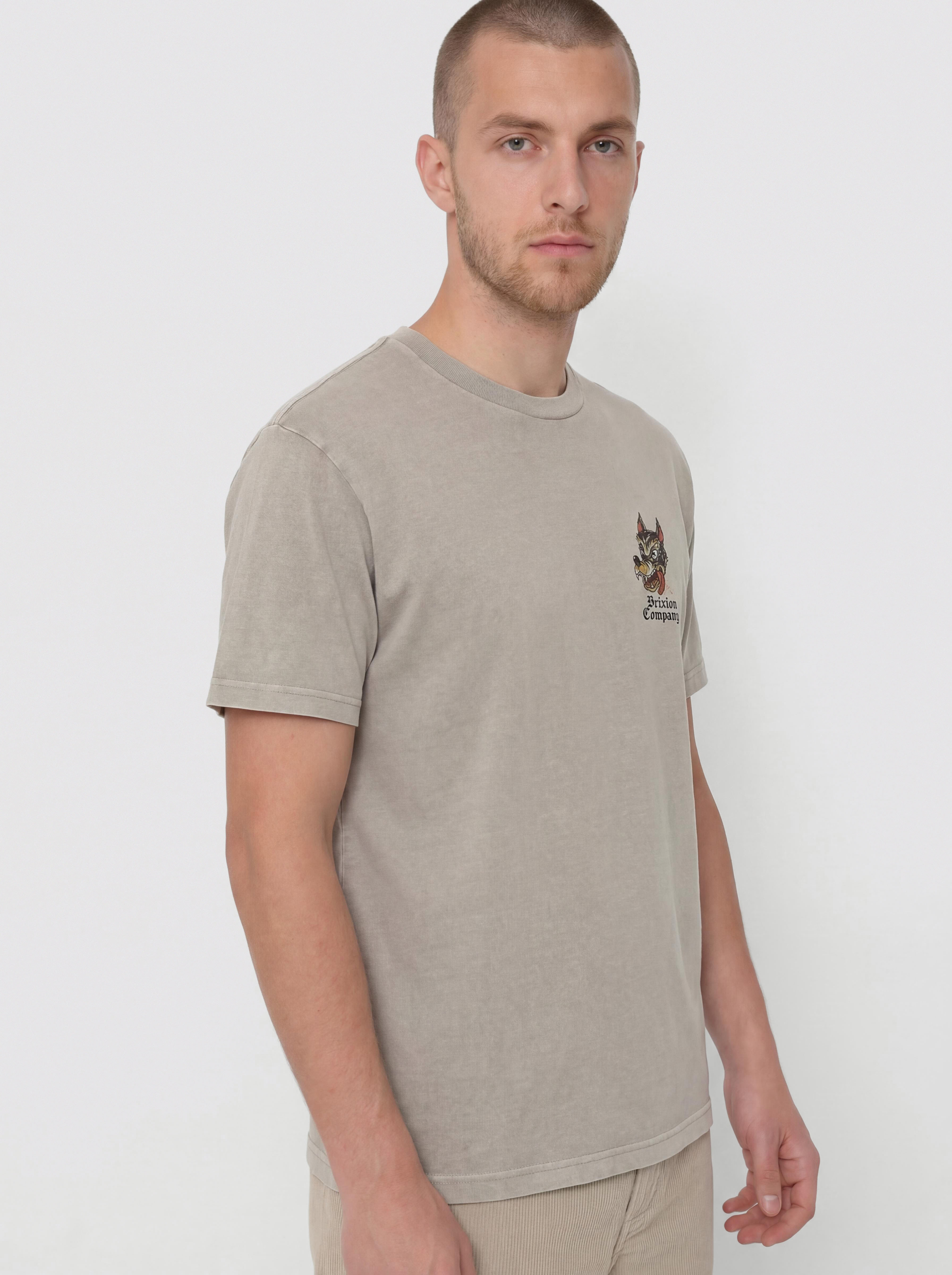 Тениска Brixton Dawg Stt (pebble stone worn wash)