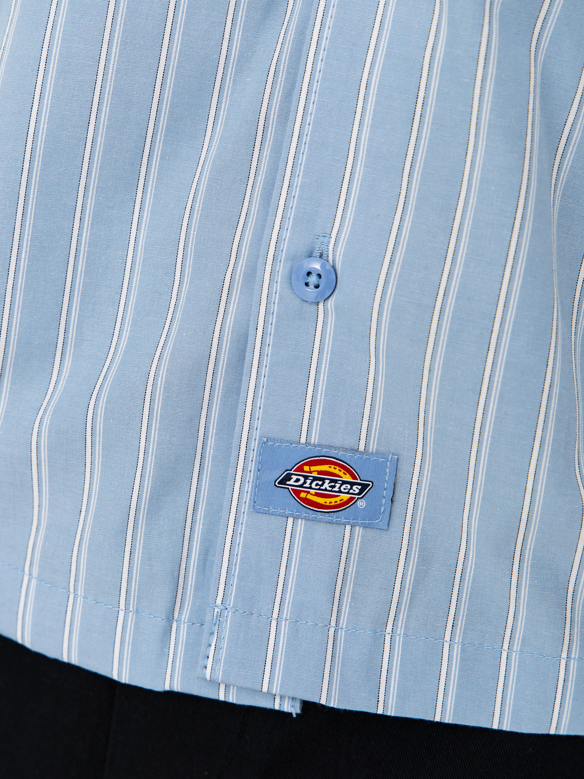 Риза Dickies Venedocia Stripe (endless sky)