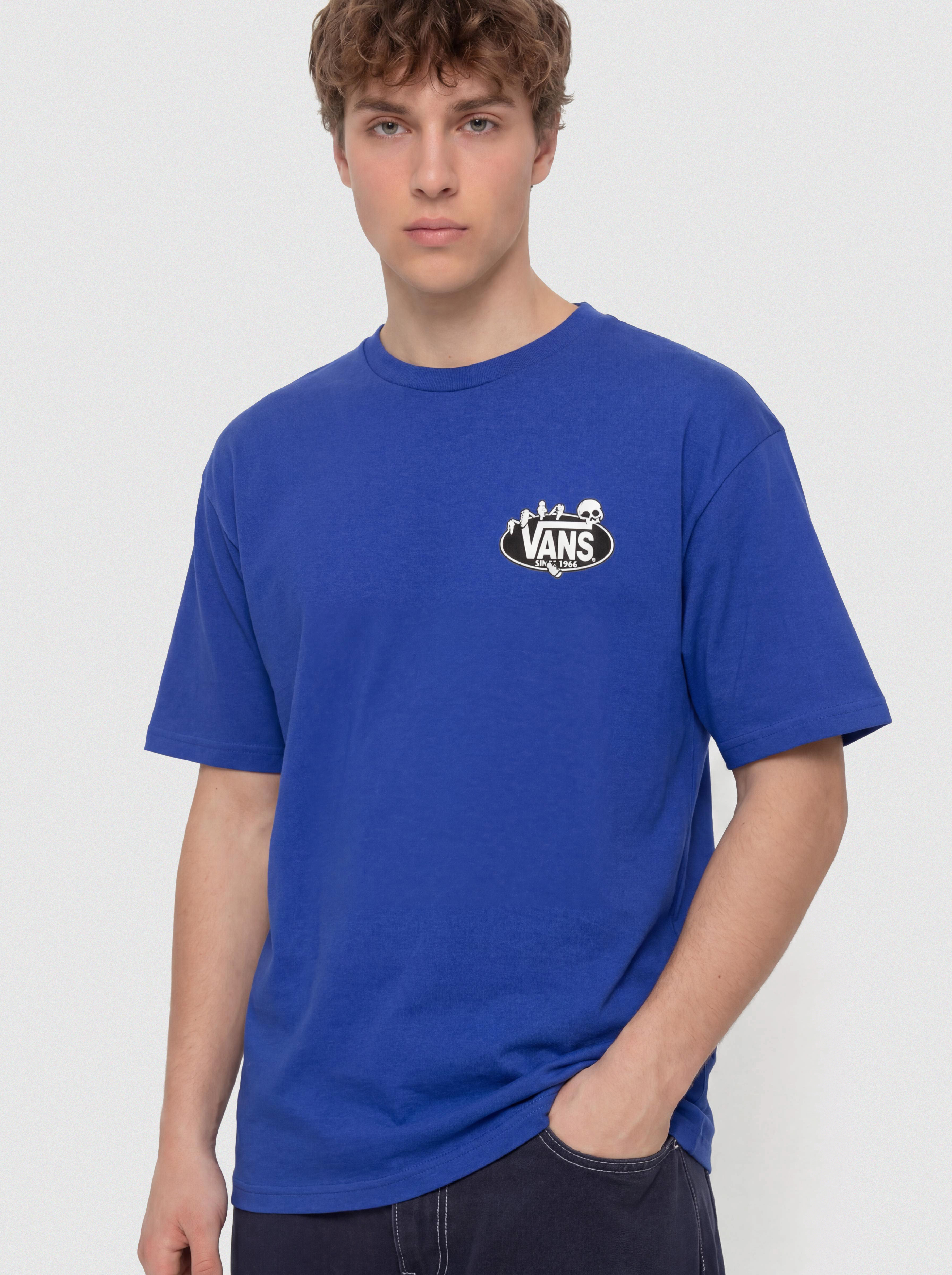 u0422u0435u043du0438u0441u043au0430 Vans Show Off (royal cobalt)