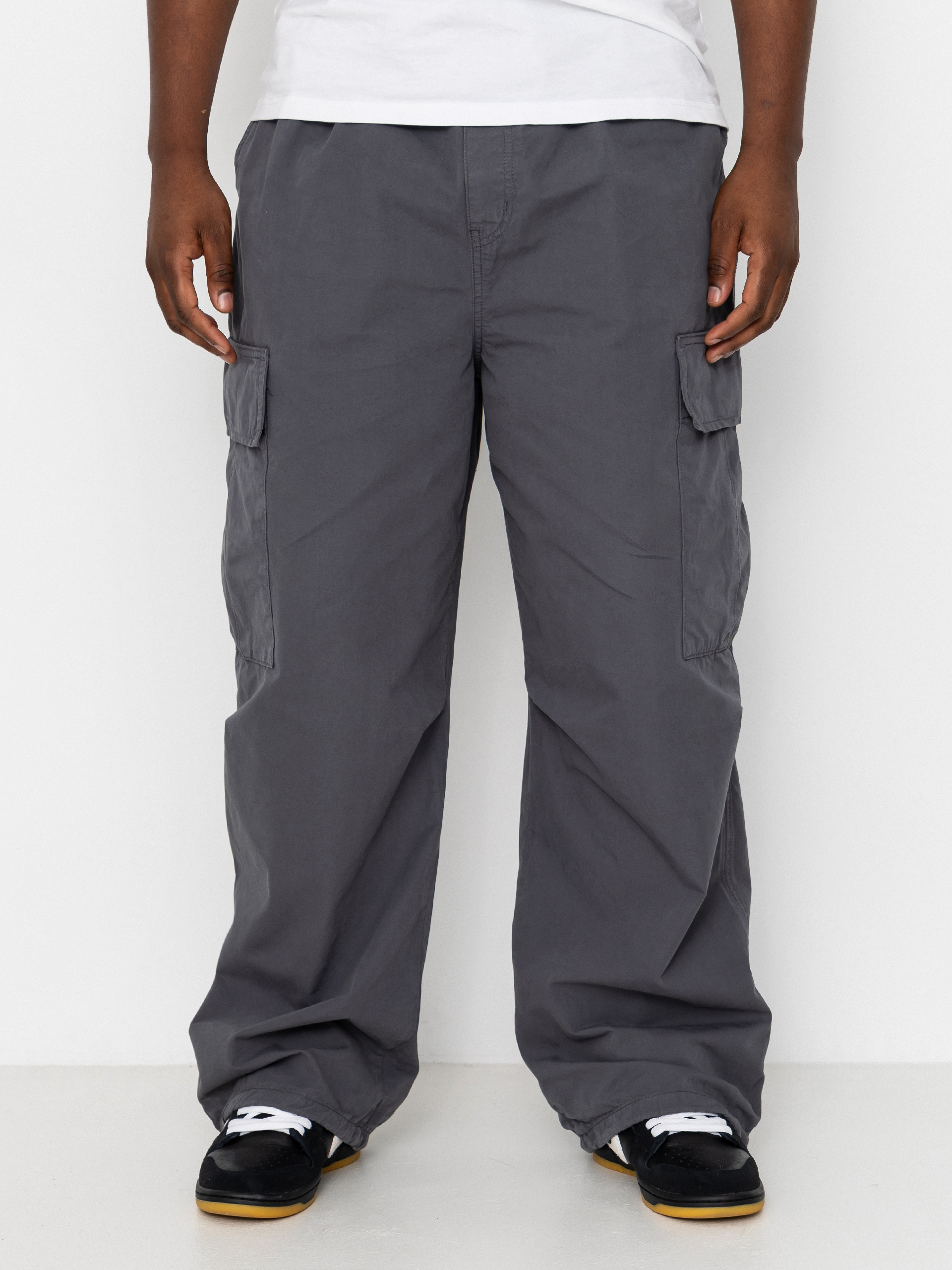 u041fu0430u043du0442u0430u043bu043eu043du0438 Carhartt WIP Mandler Cargo (styx)