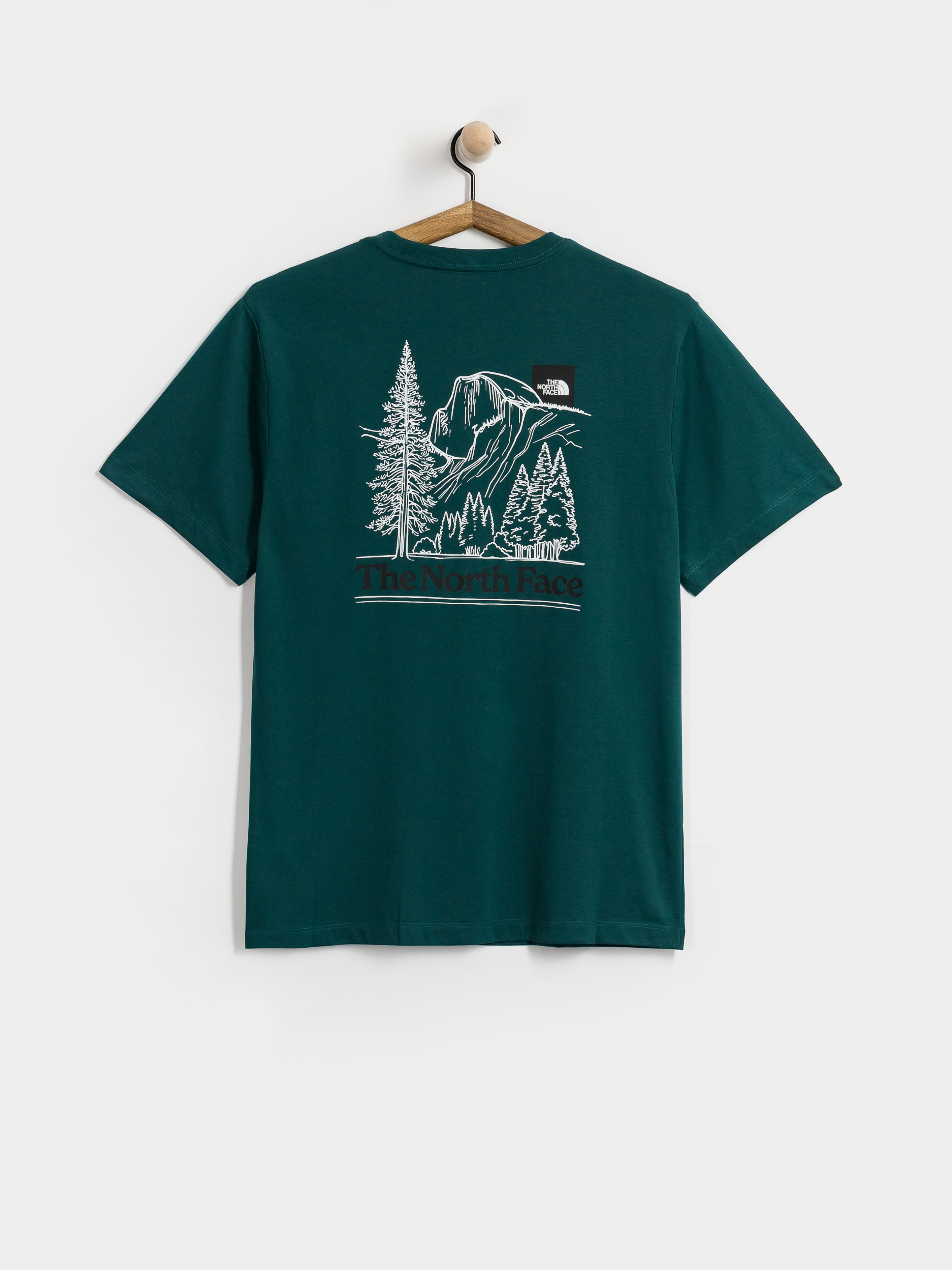 u0422u0435u043du0438u0441u043au0430 The North Face Monte Regular (pacific teal)