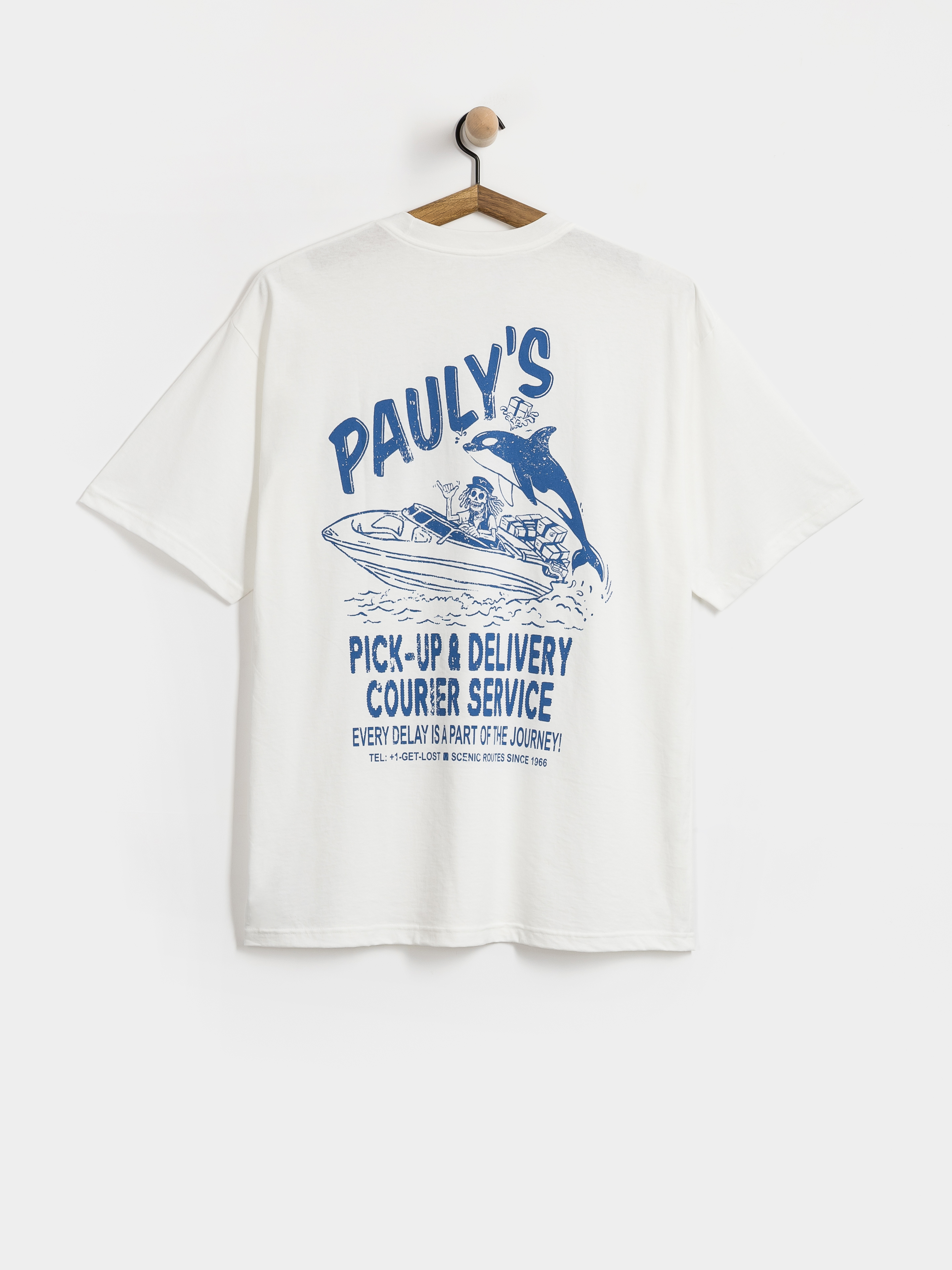 u0422u0435u043du0438u0441u043au0430 Vans PaulyS Delivery (white)