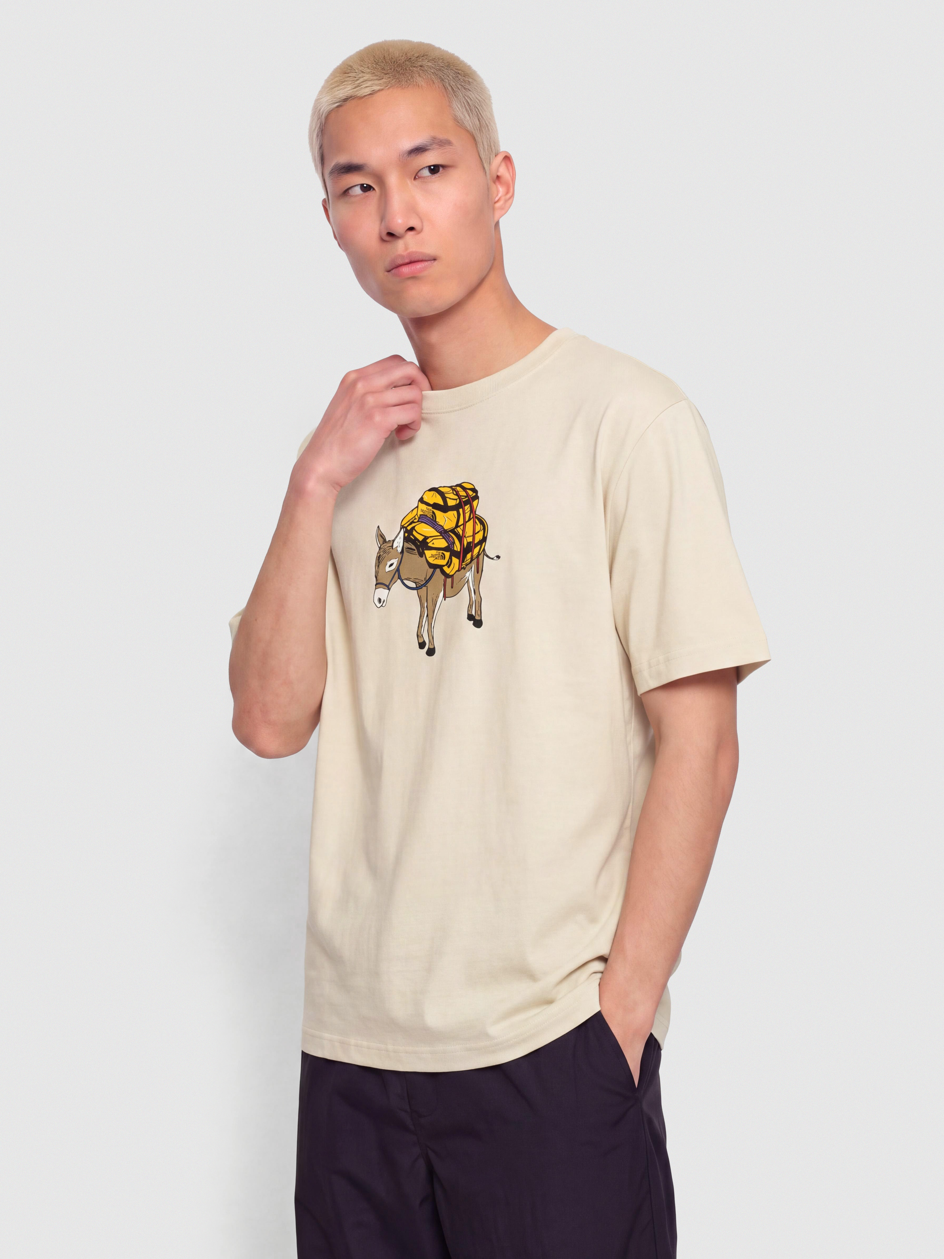 u0422u0435u043du0438u0441u043au0430 The North Face Donkey Taxi Relaxed (desert stone)