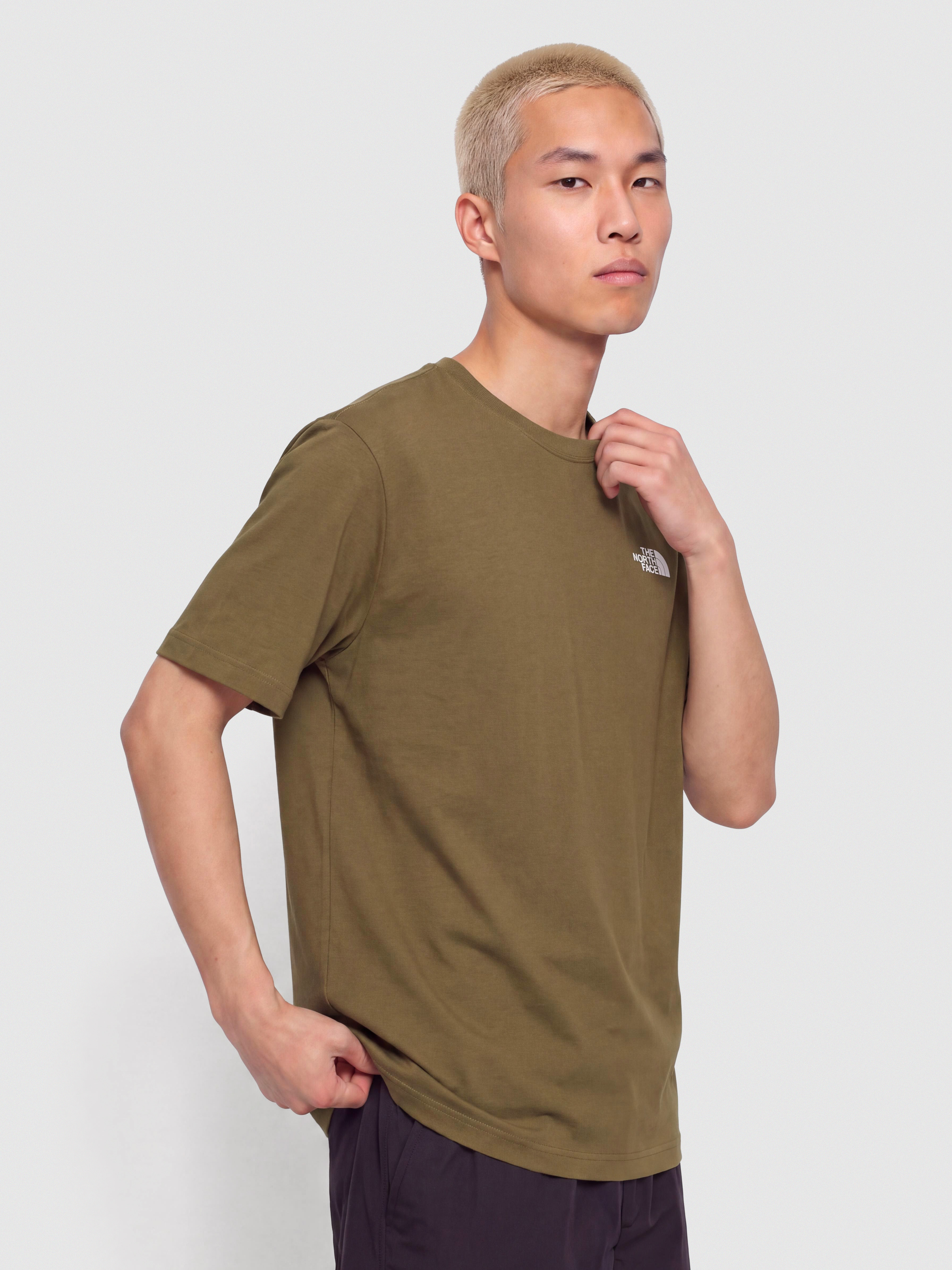 Тениска The North Face Evolution Simple Dome (caraway seed)