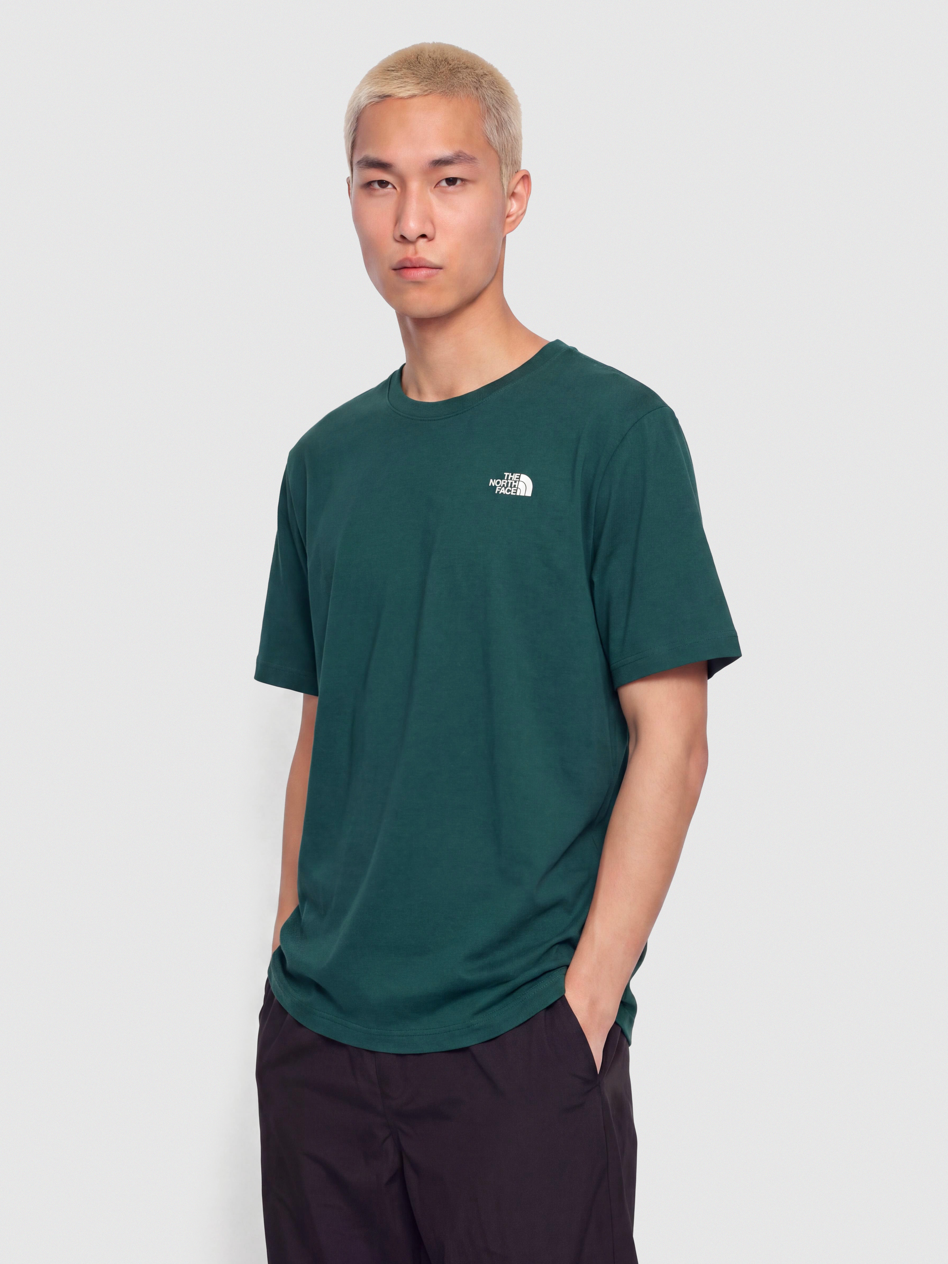 u0422u0435u043du0438u0441u043au0430 The North Face Evolution Simple Dome (pacific teal)