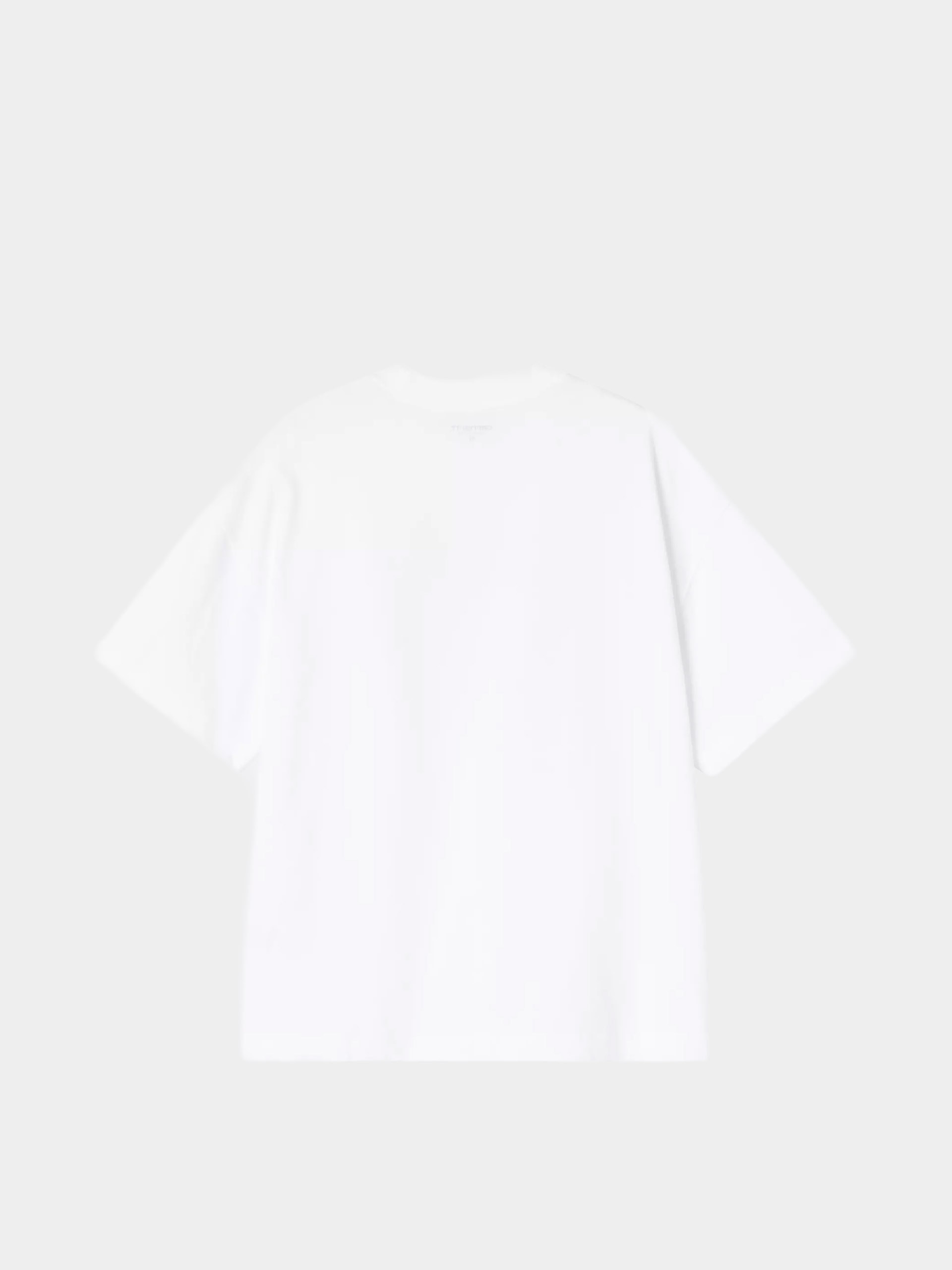 Тениска Carhartt WIP Pennon (white)