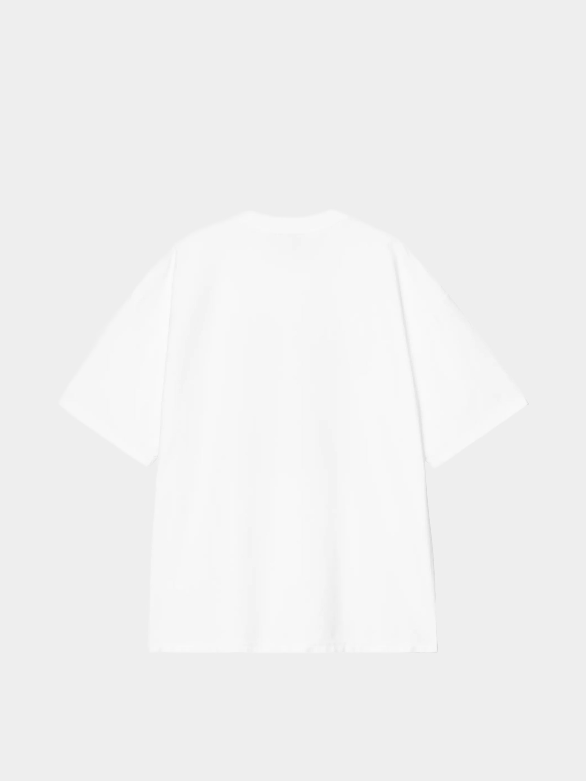 Тениска Carhartt WIP 1989 Winners (white/heavy stone wash)