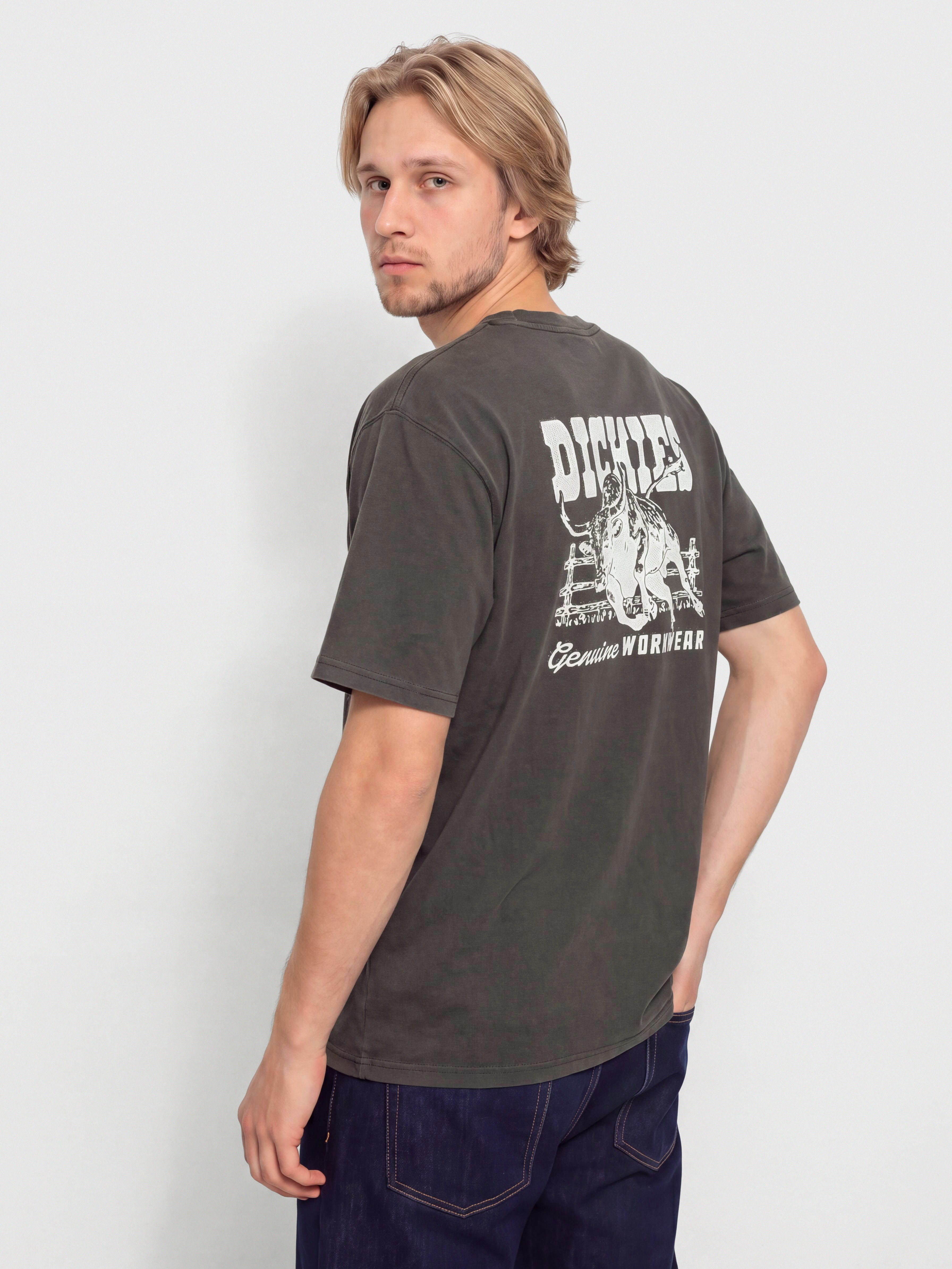 Тениска Dickies Buchtell (black)