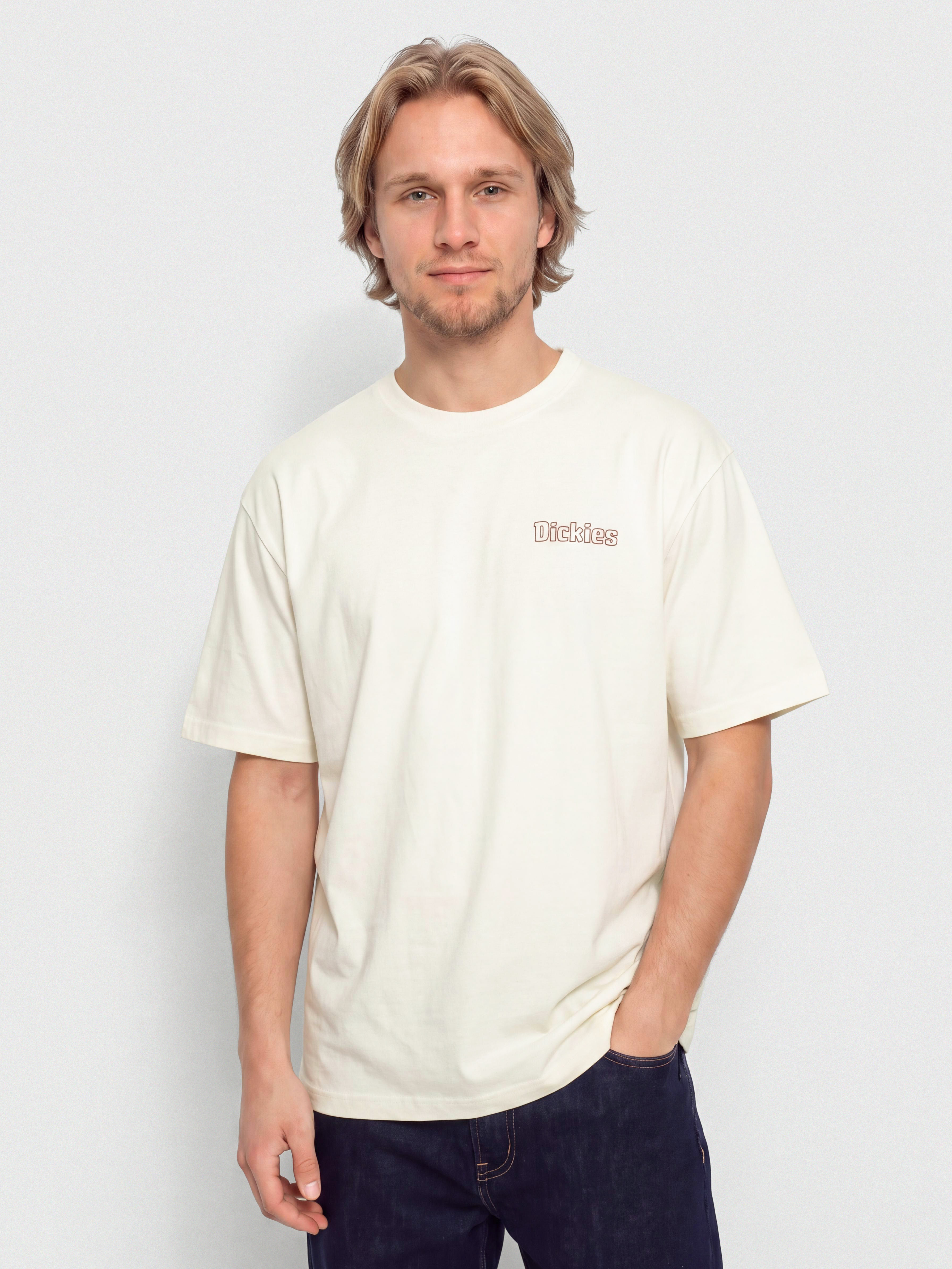 Тениска Dickies Fairlawn (egret)