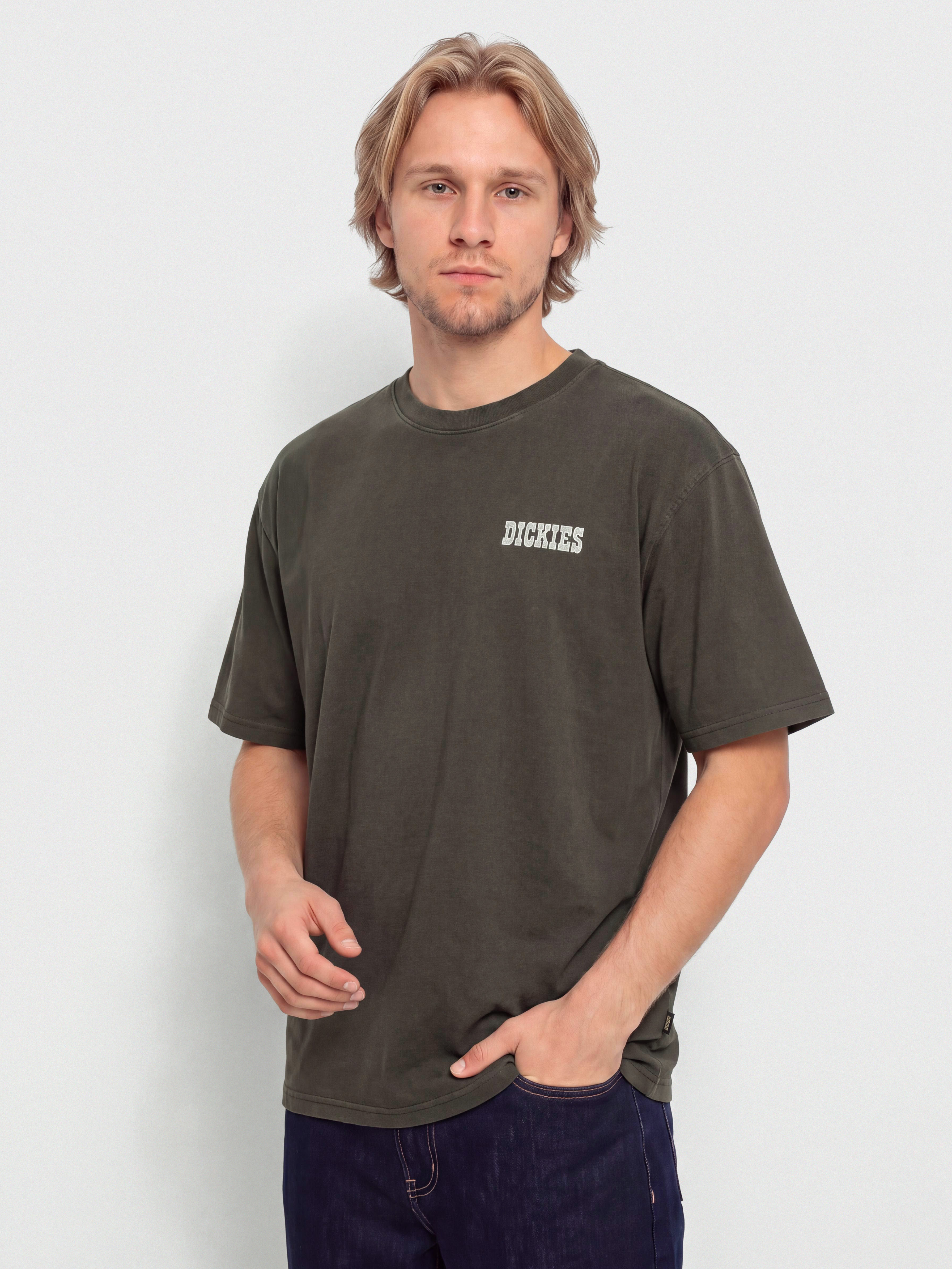 Тениска Dickies Buchtell (black)
