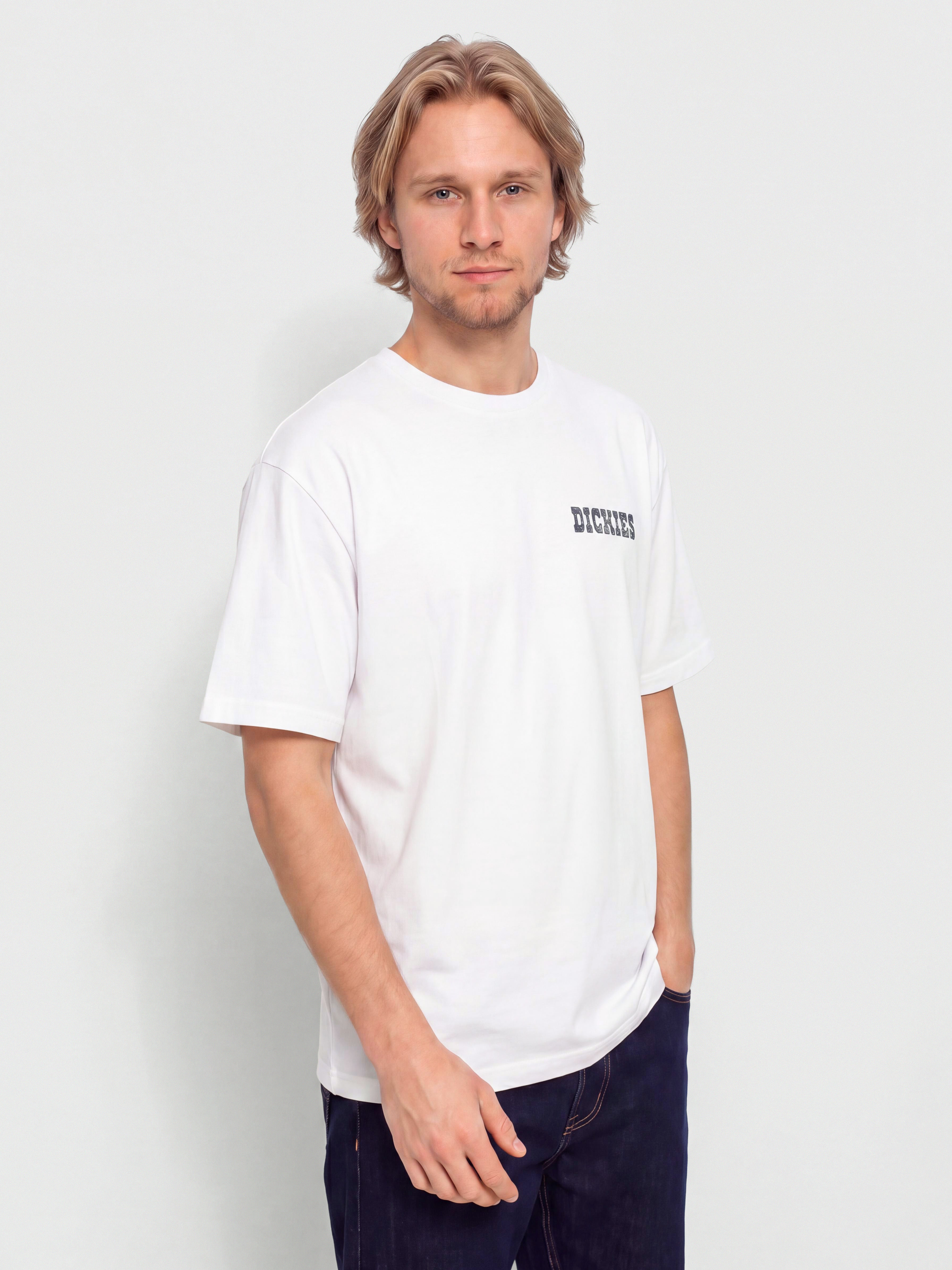 Тениска Dickies Plain City (white)